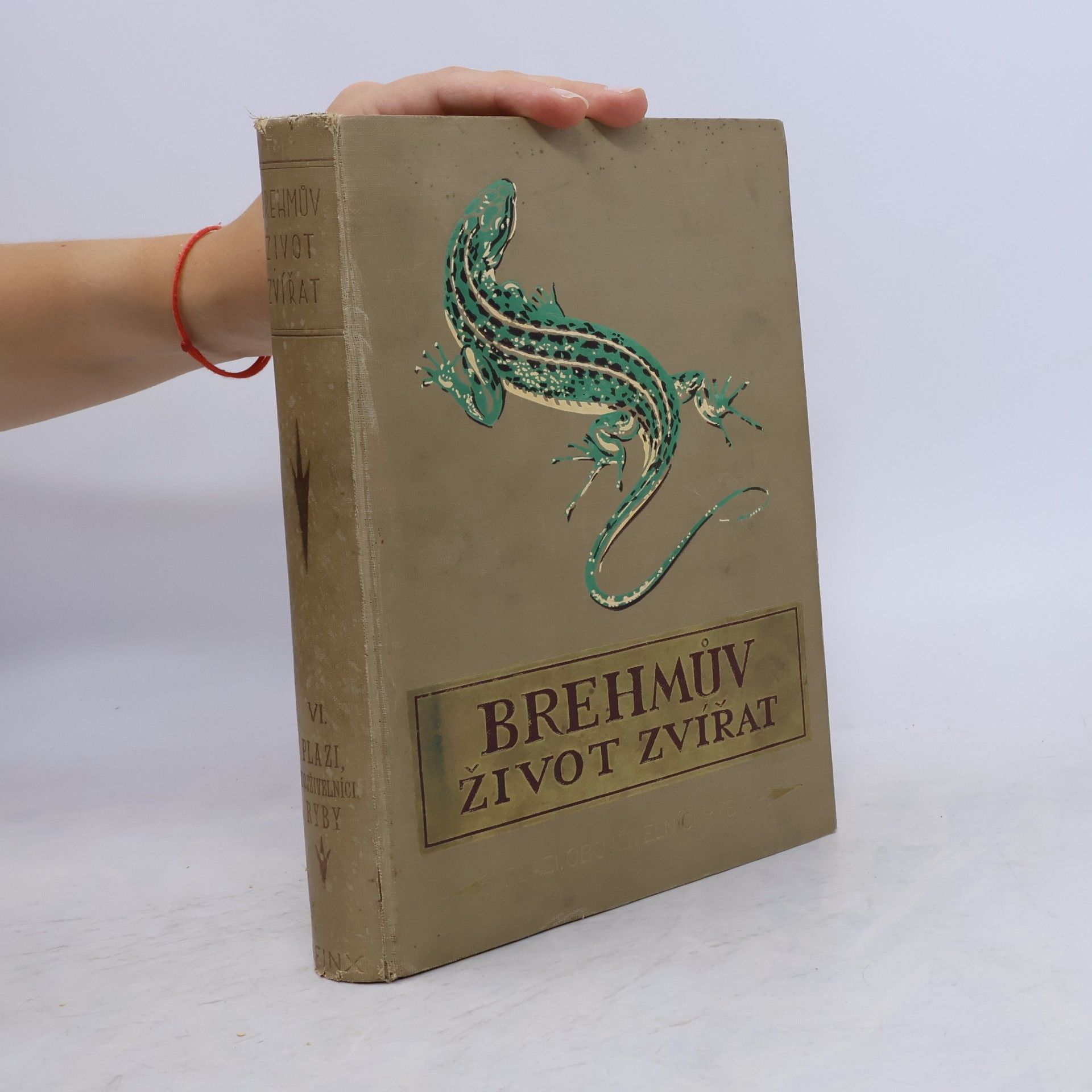 Alfred Edmund Brehm Brehmův život zvířat VI. Plazi, obojživelníci, ryby