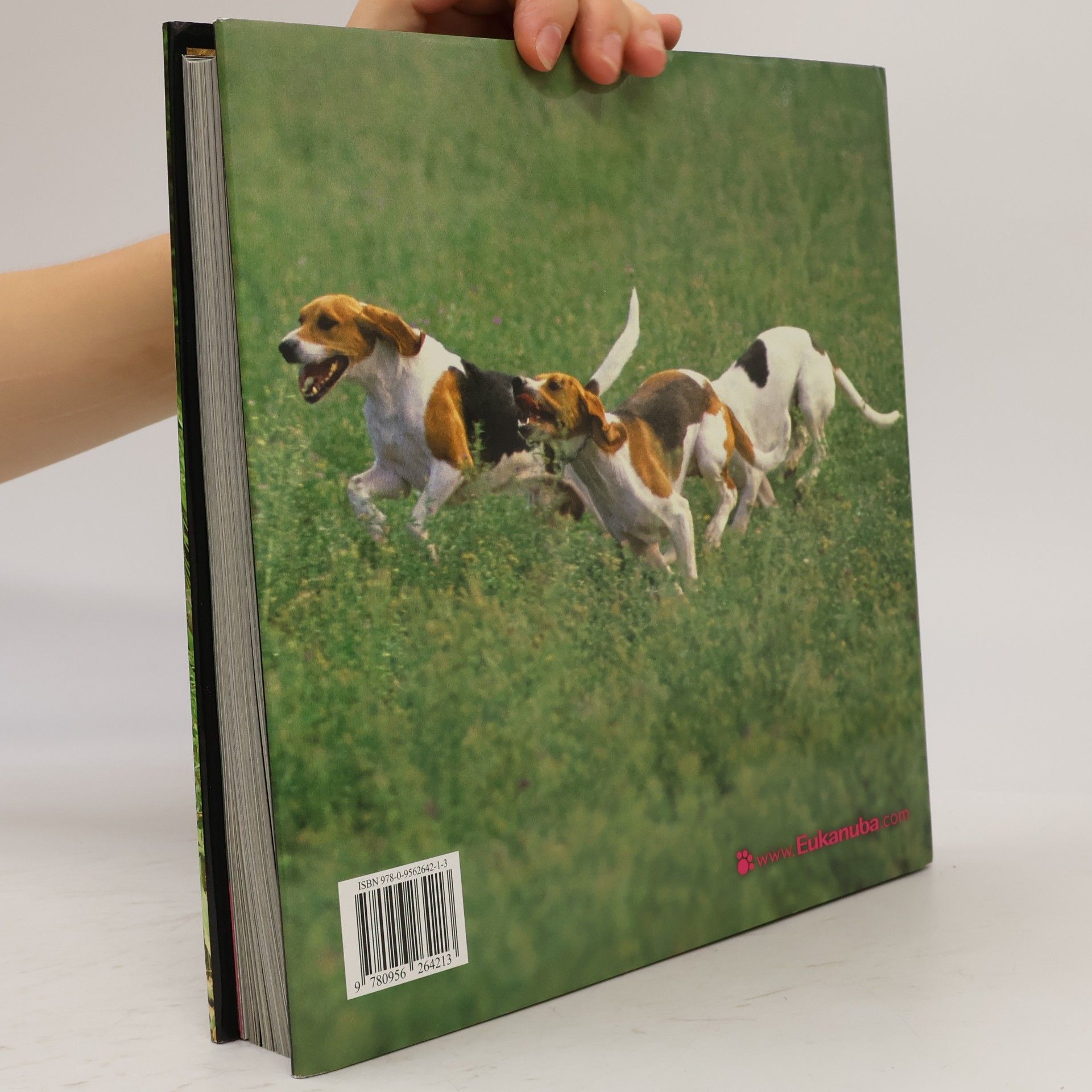 kolektiv Dogs A-G: hunde chiens cani perros honde