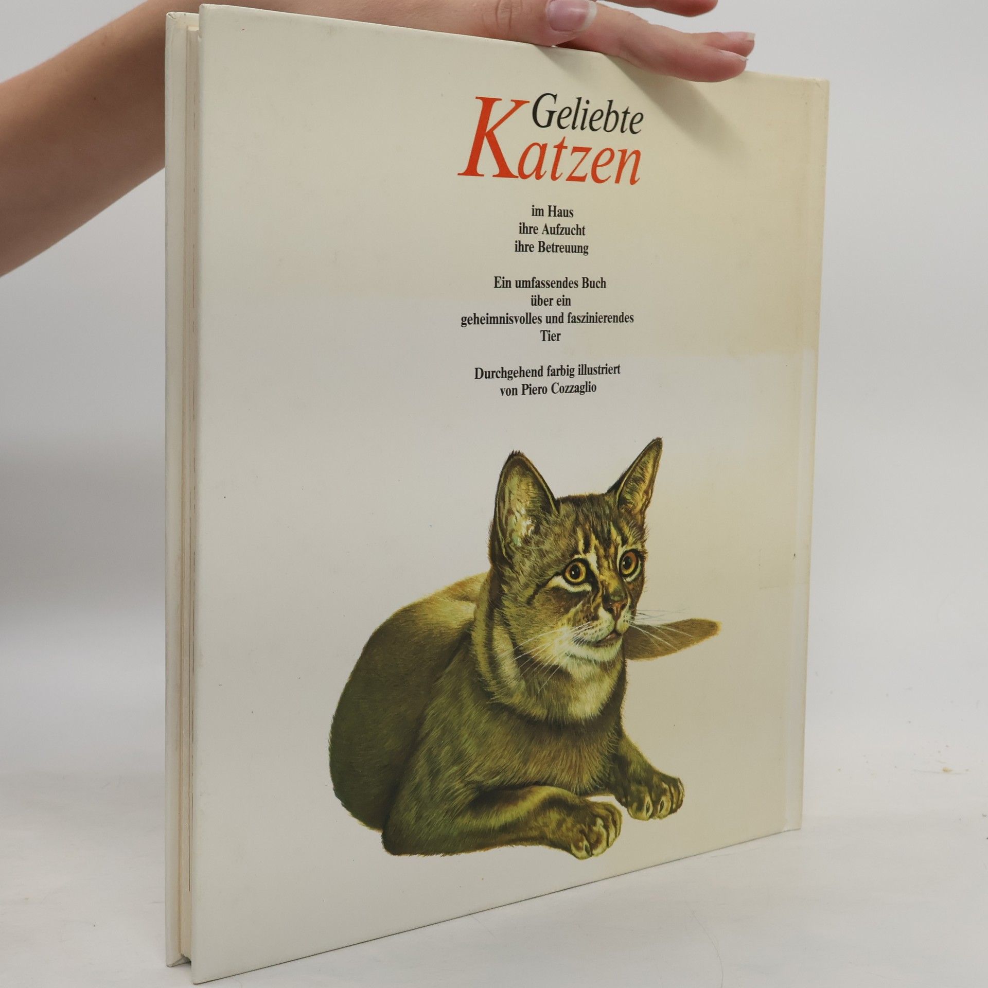 Eugenia Natoli Geliebte Katzen