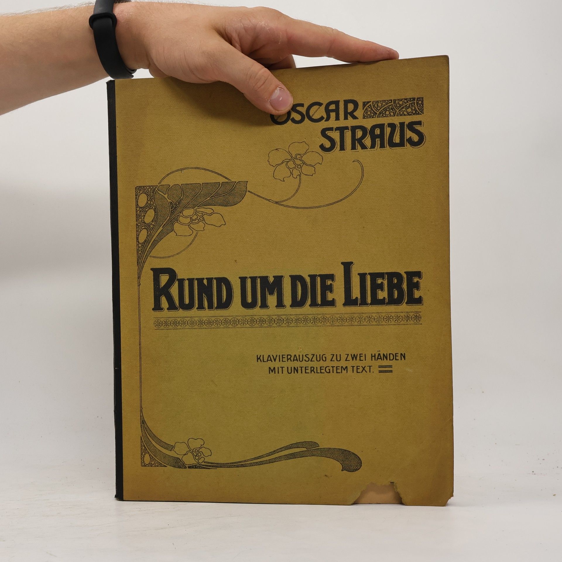 Kolektiv autorů Rund um die Liebe