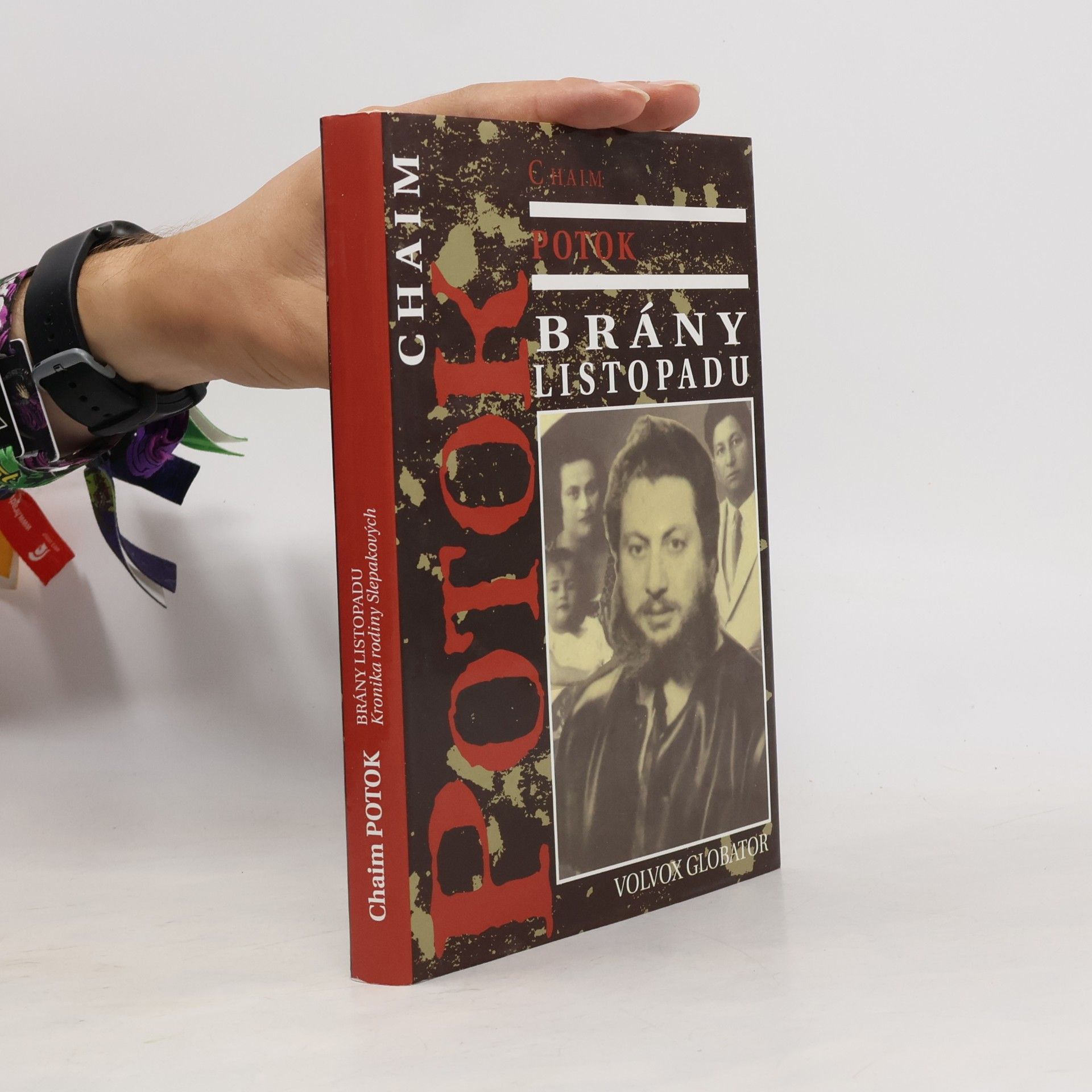 Chaim Potok Brány listopadu