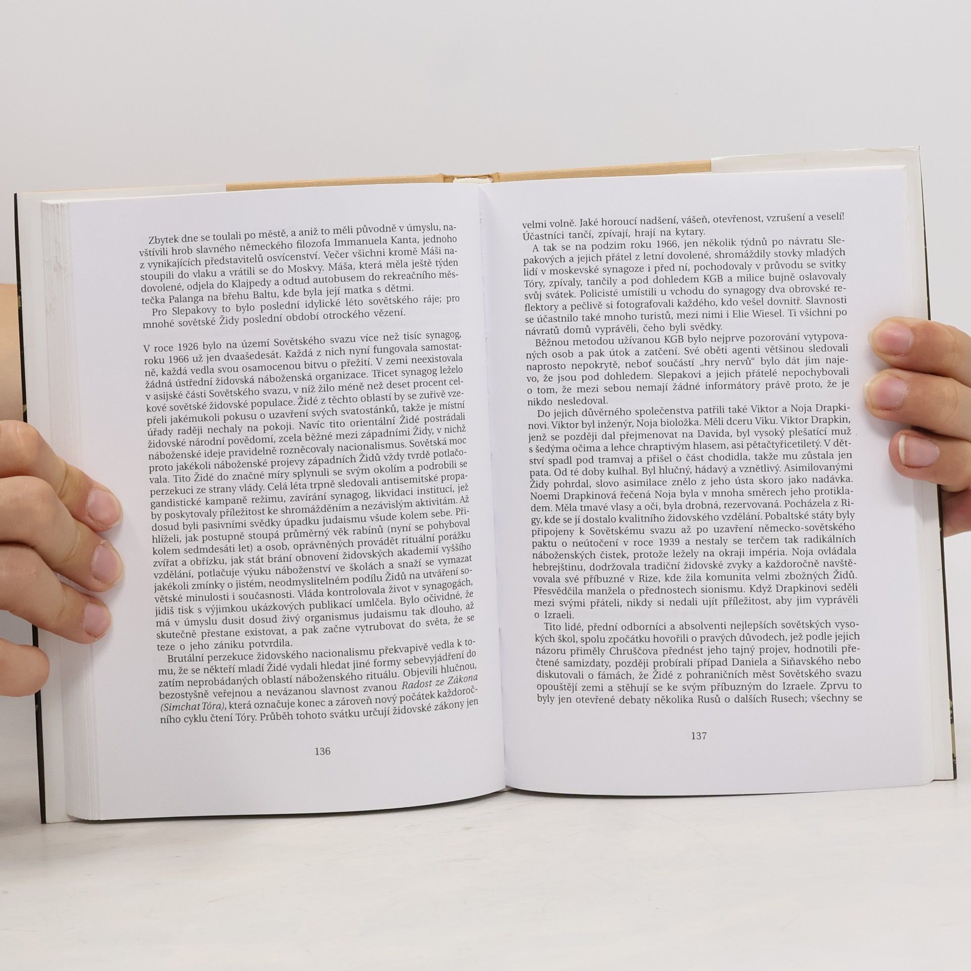 Chaim Potok Brány listopadu