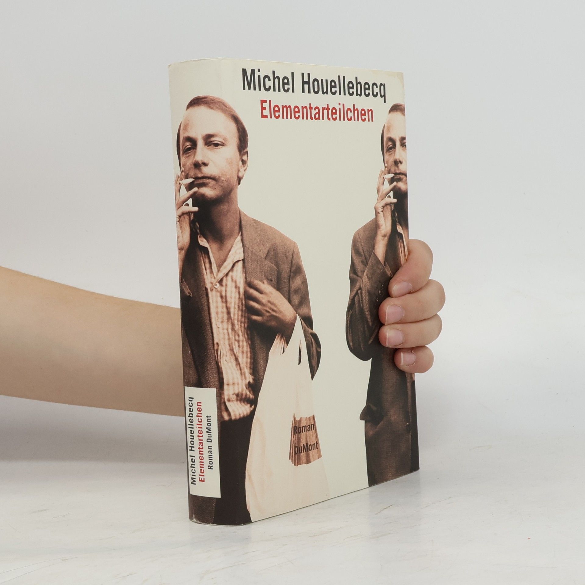 Michel Houellebecq Elementarteilchen