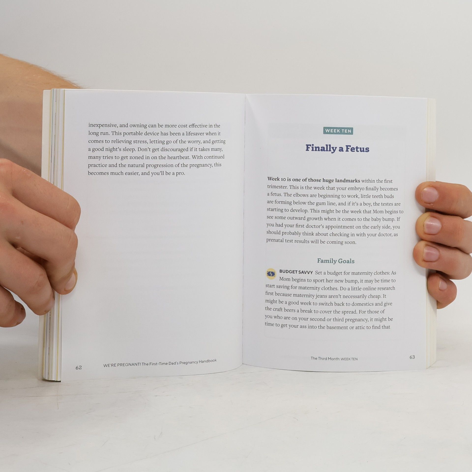 Adrian Kulp We're Pregnant! the First Time Dad's Pregnancy Handbook