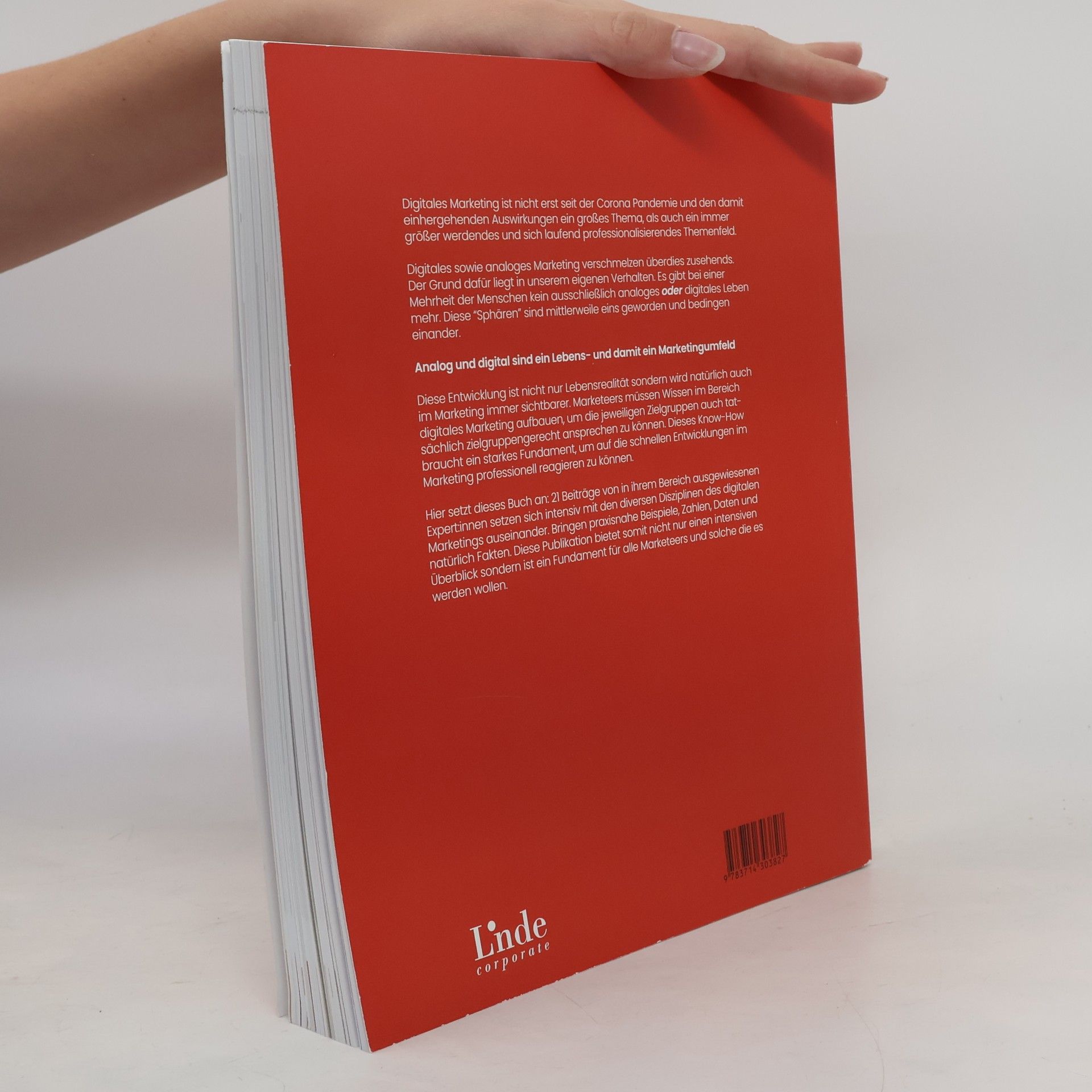 Niko Pabst Handbuch Digitales Marketing