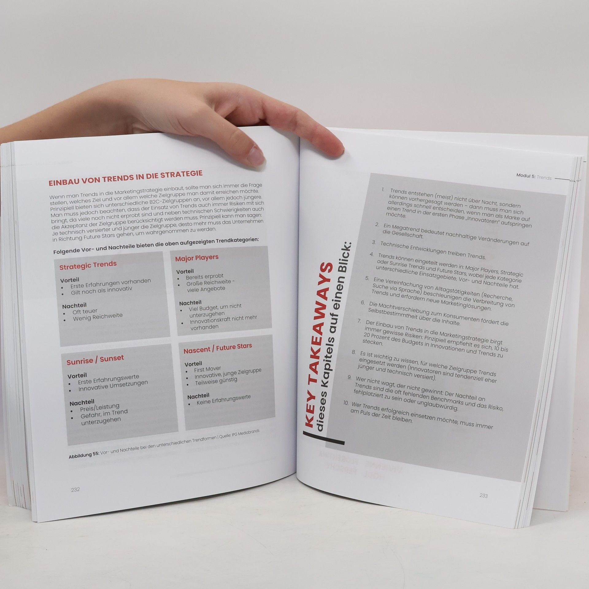 Niko Pabst Handbuch Digitales Marketing