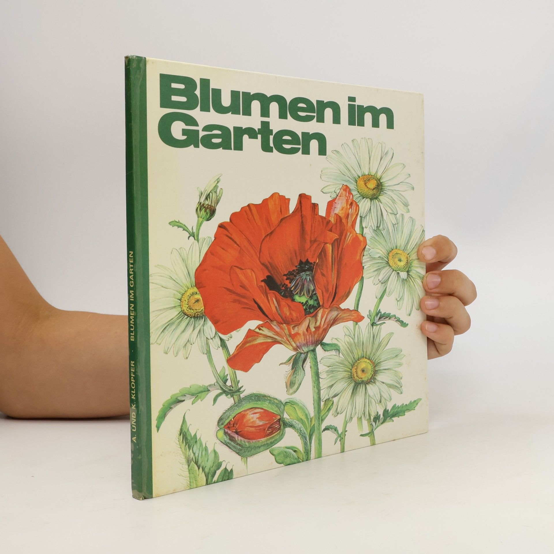 Klaus Klopfer Blumen im Garten