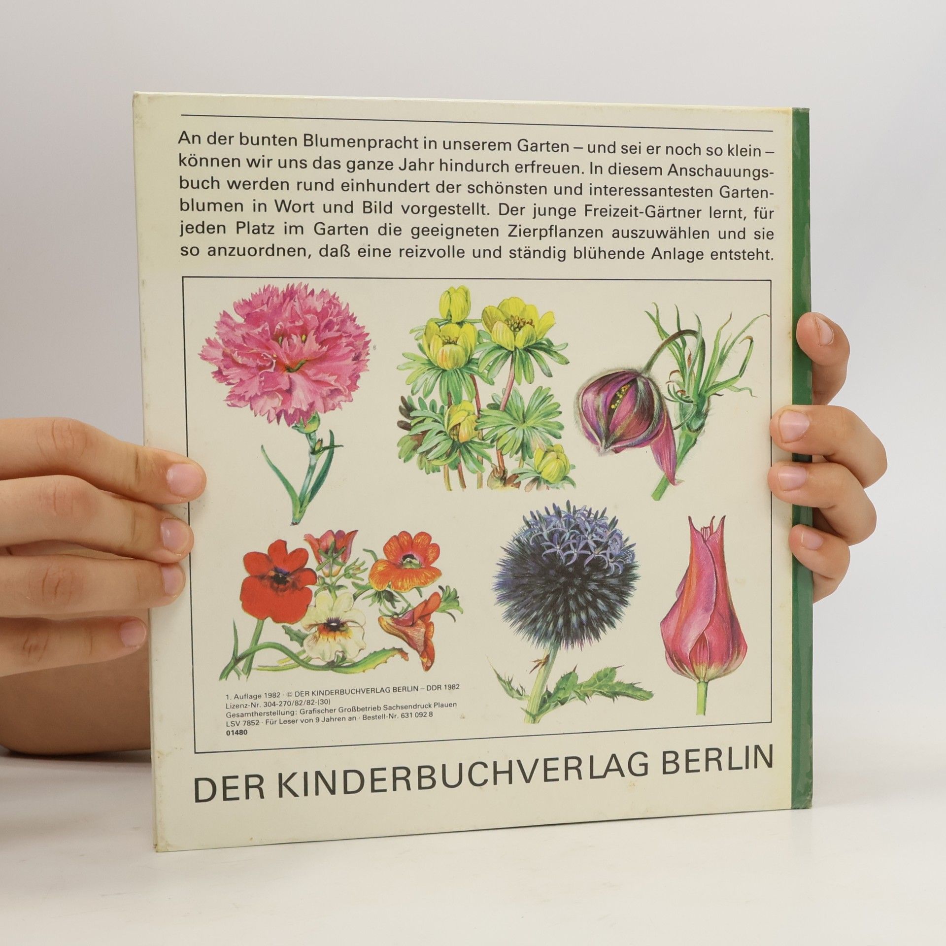 Annerose Klopfer Blumen im Garten