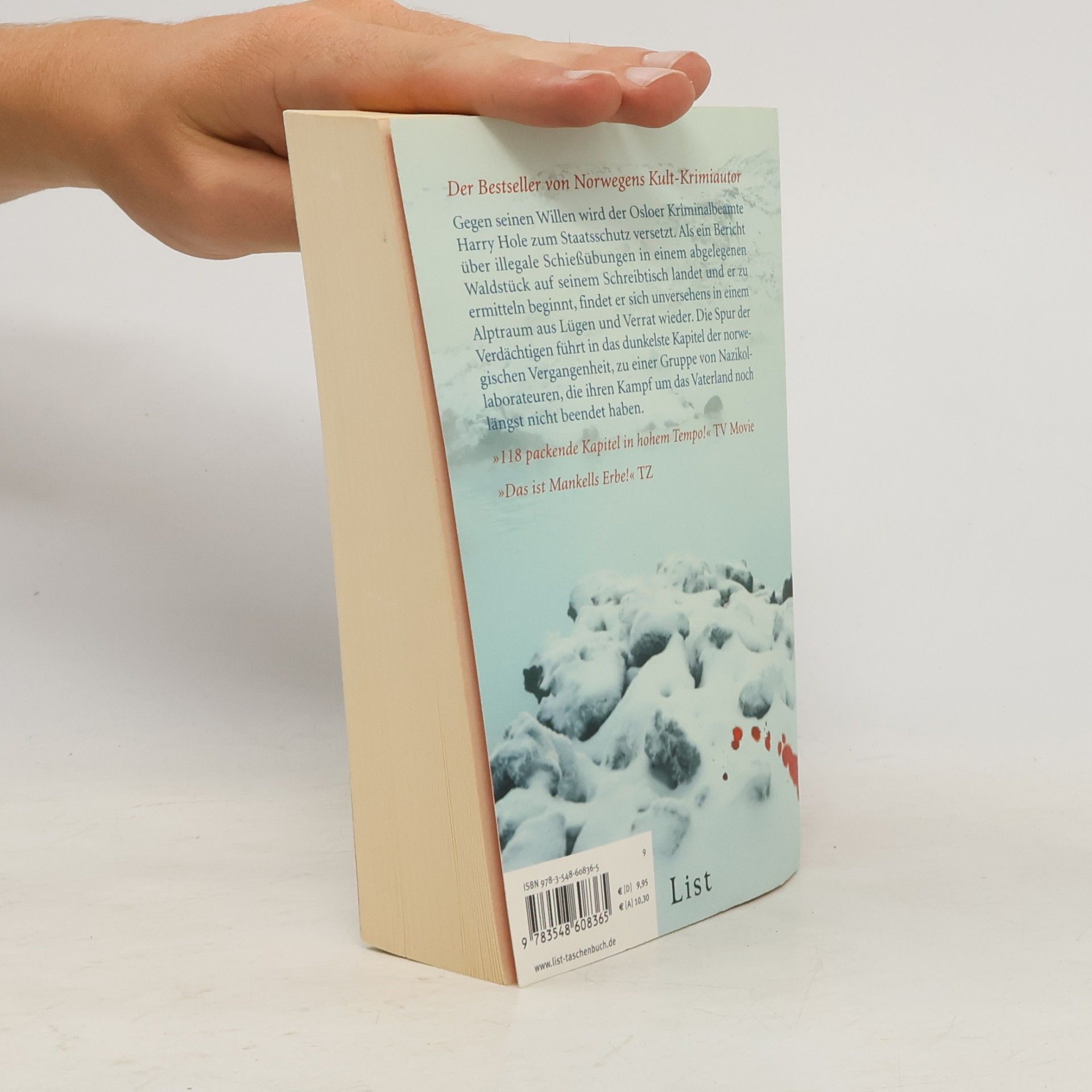 Jo Nesbø Rotkehlchen