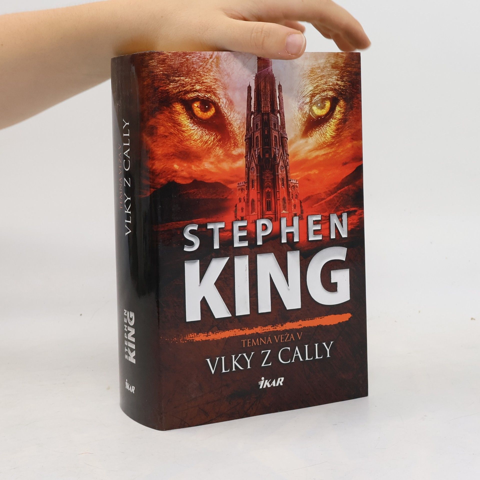 Stephen King Vlky z Cally