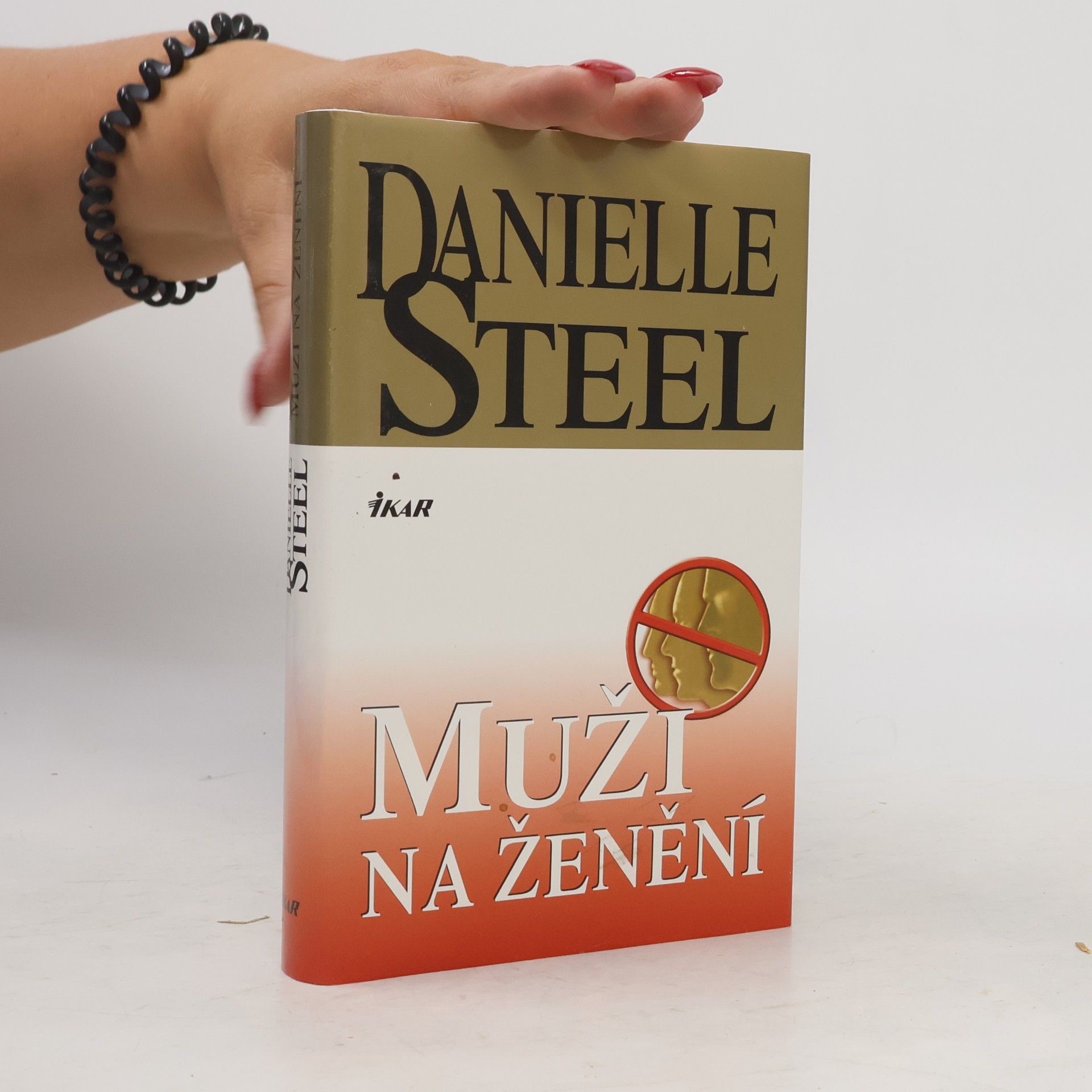 Danielle Steel Muži na ženění