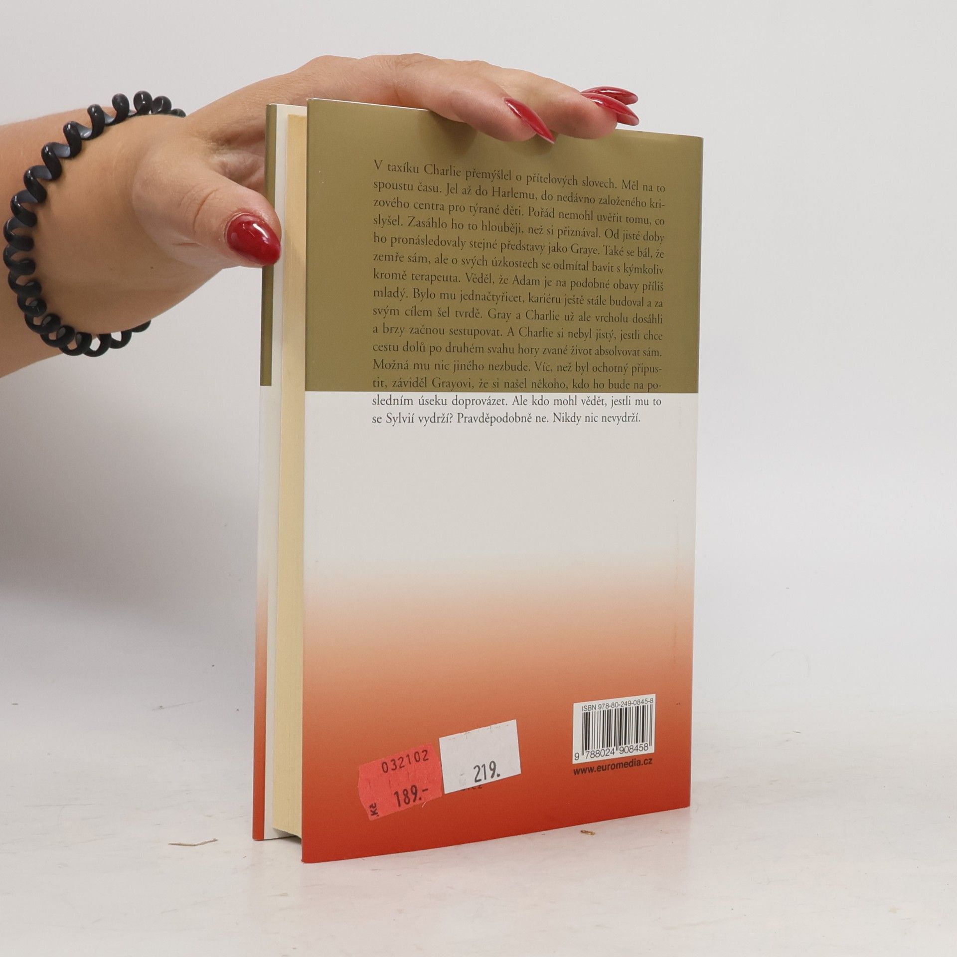 Danielle Steel Muži na ženění