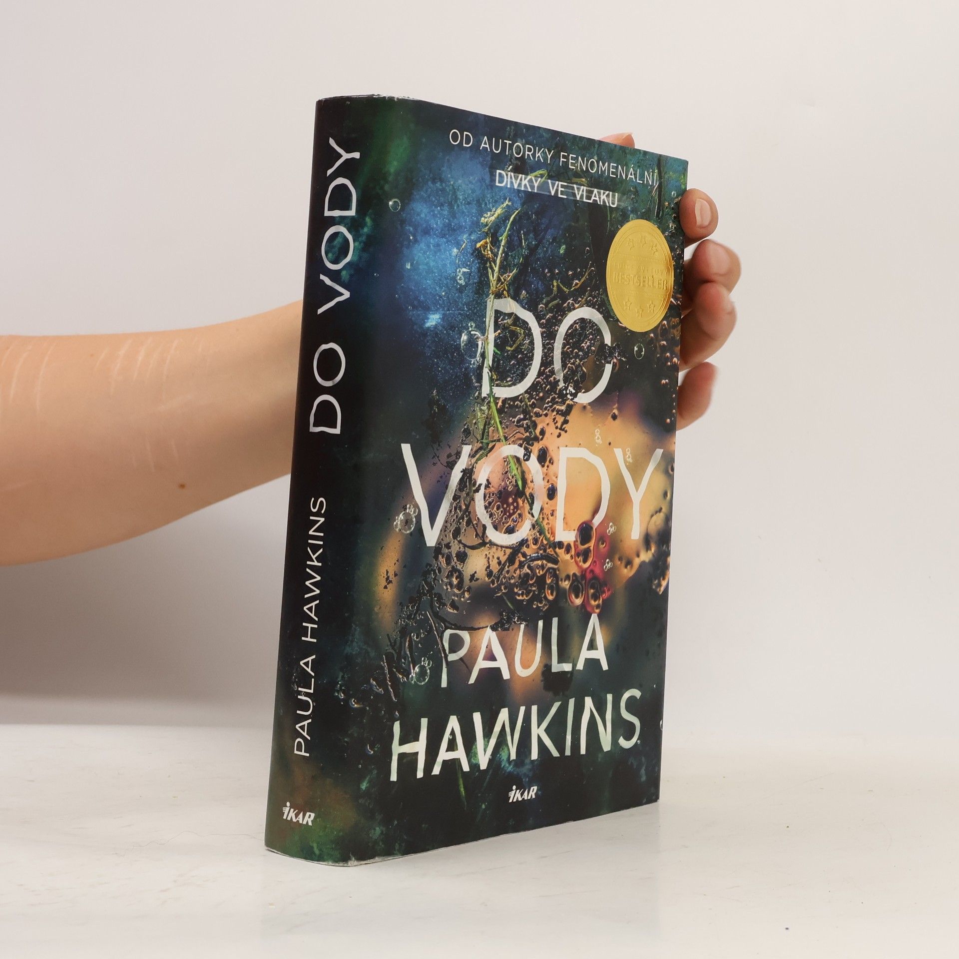 Paula Hawkins Do vody