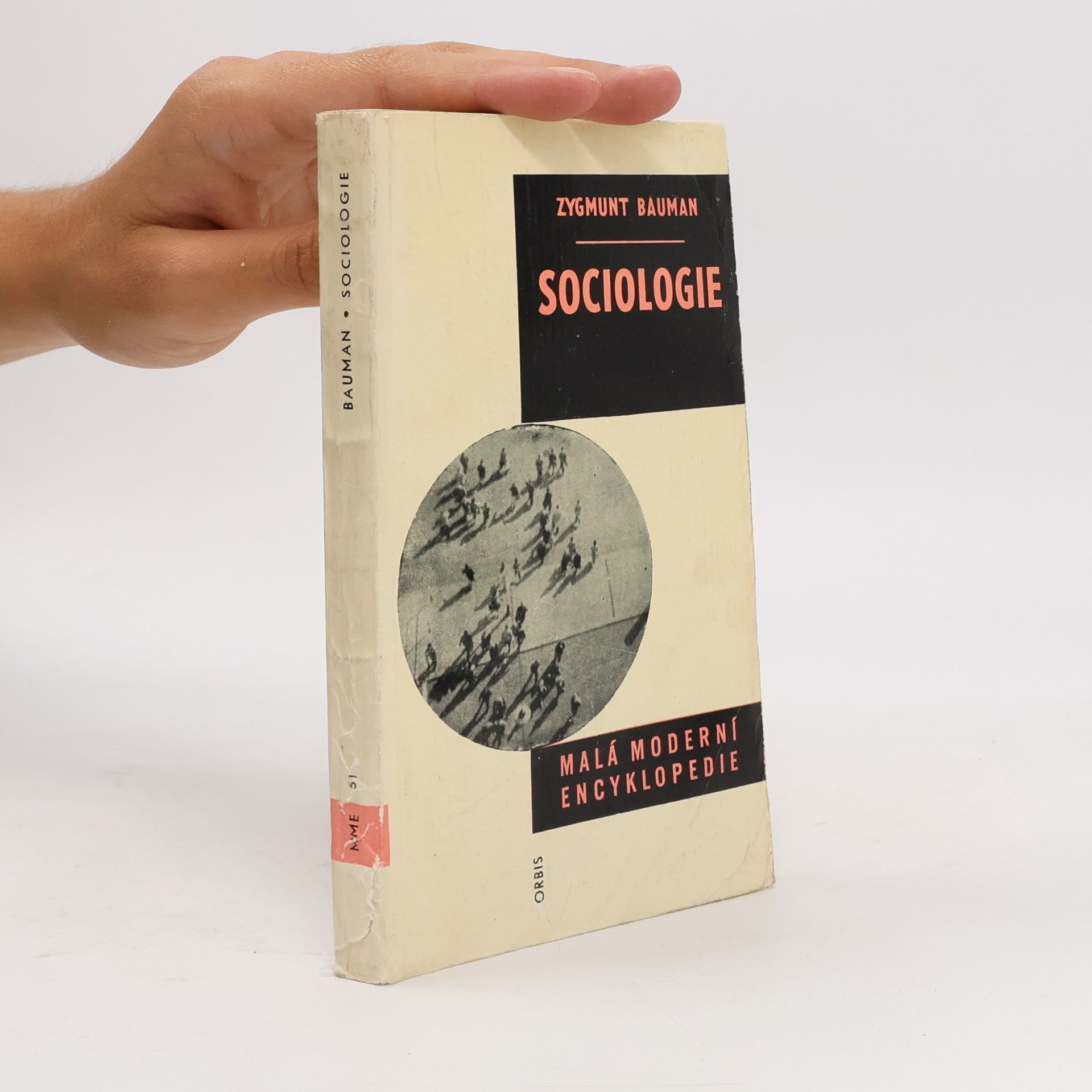 Zygmunt Bauman Sociologie