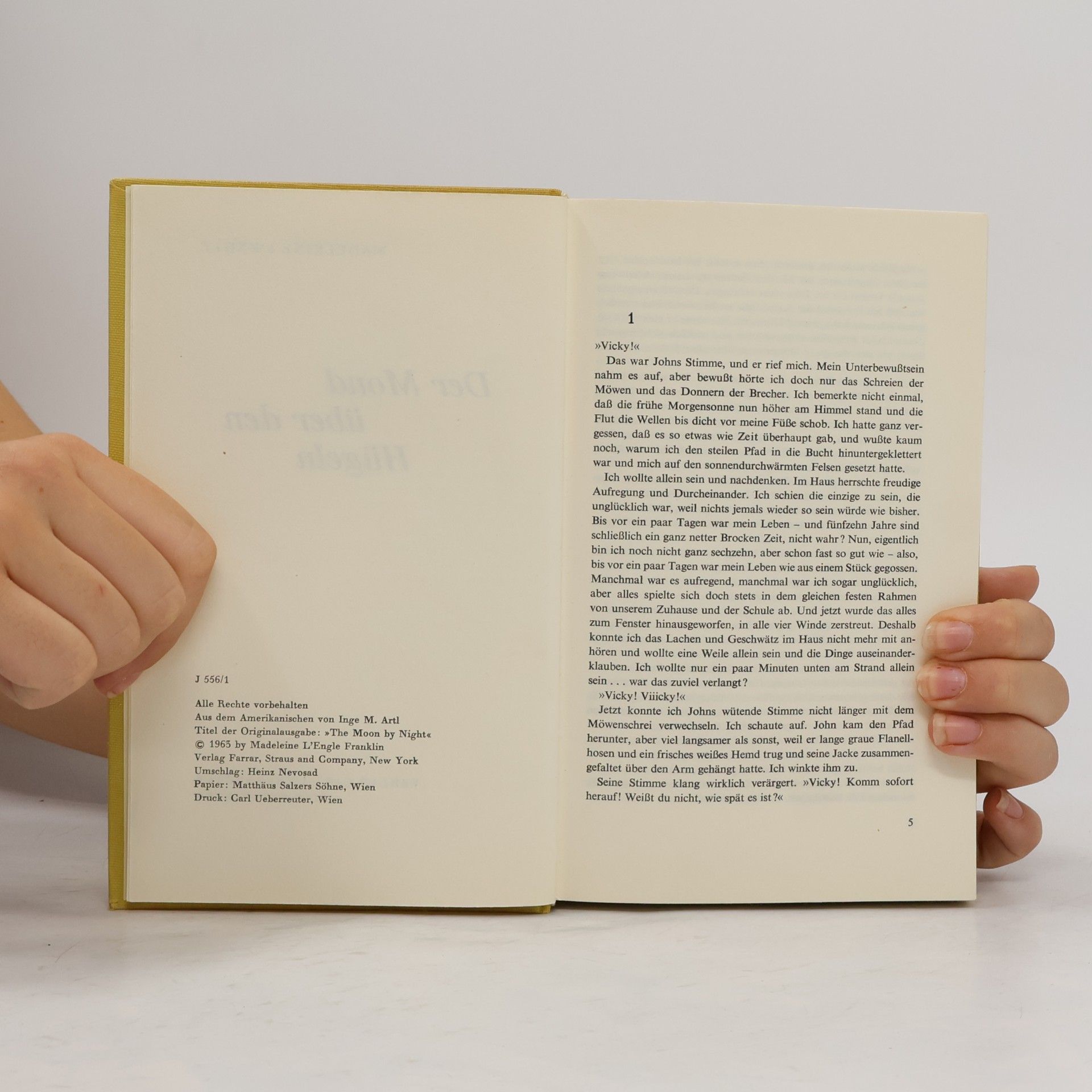 Madeleine L’Engle Der mond über den Hügeln