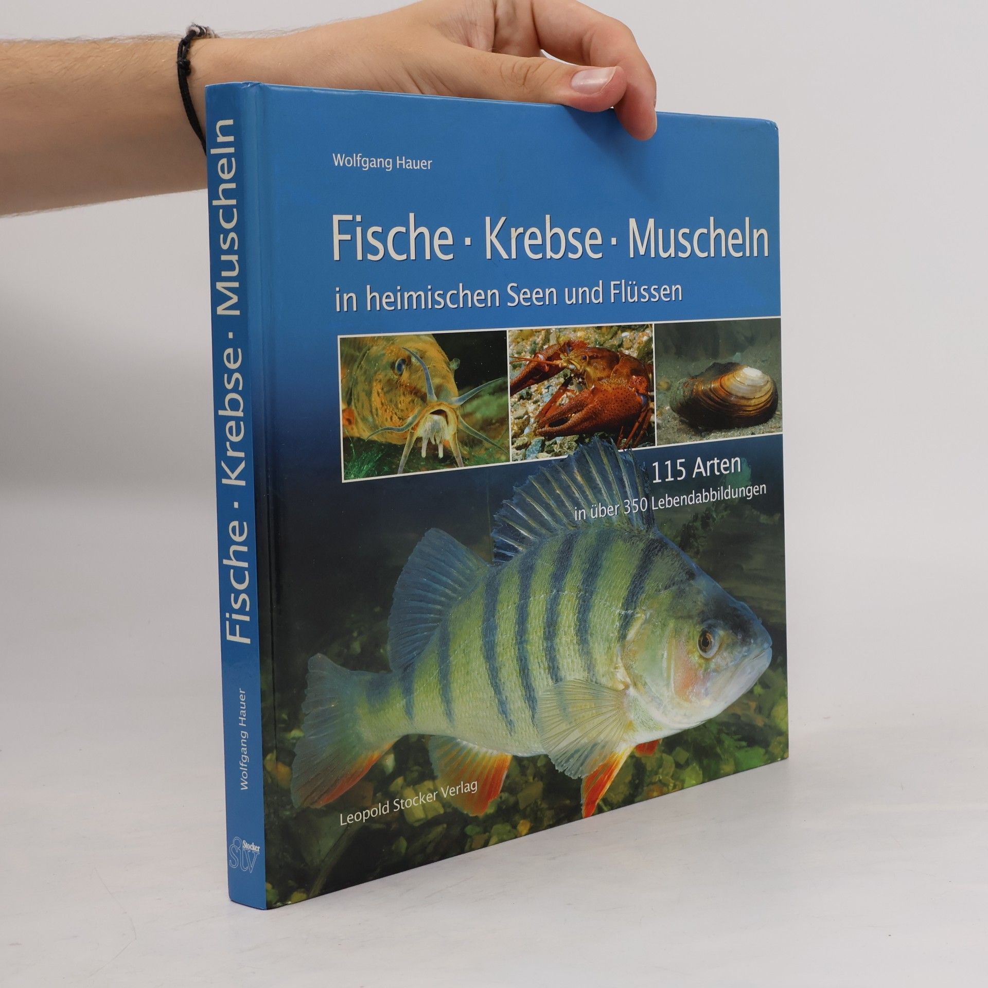 Fische, Krebse, Muscheln in heimischen Seen und Flüssen