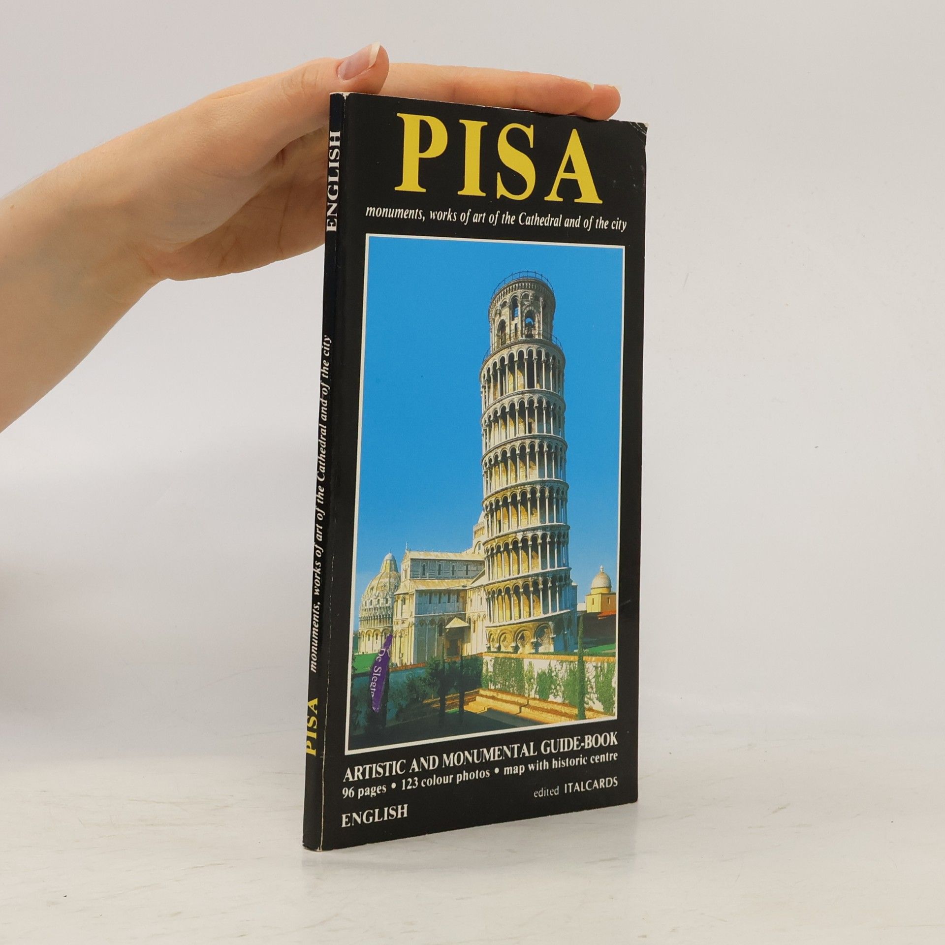Autorenkollektiv Pisa