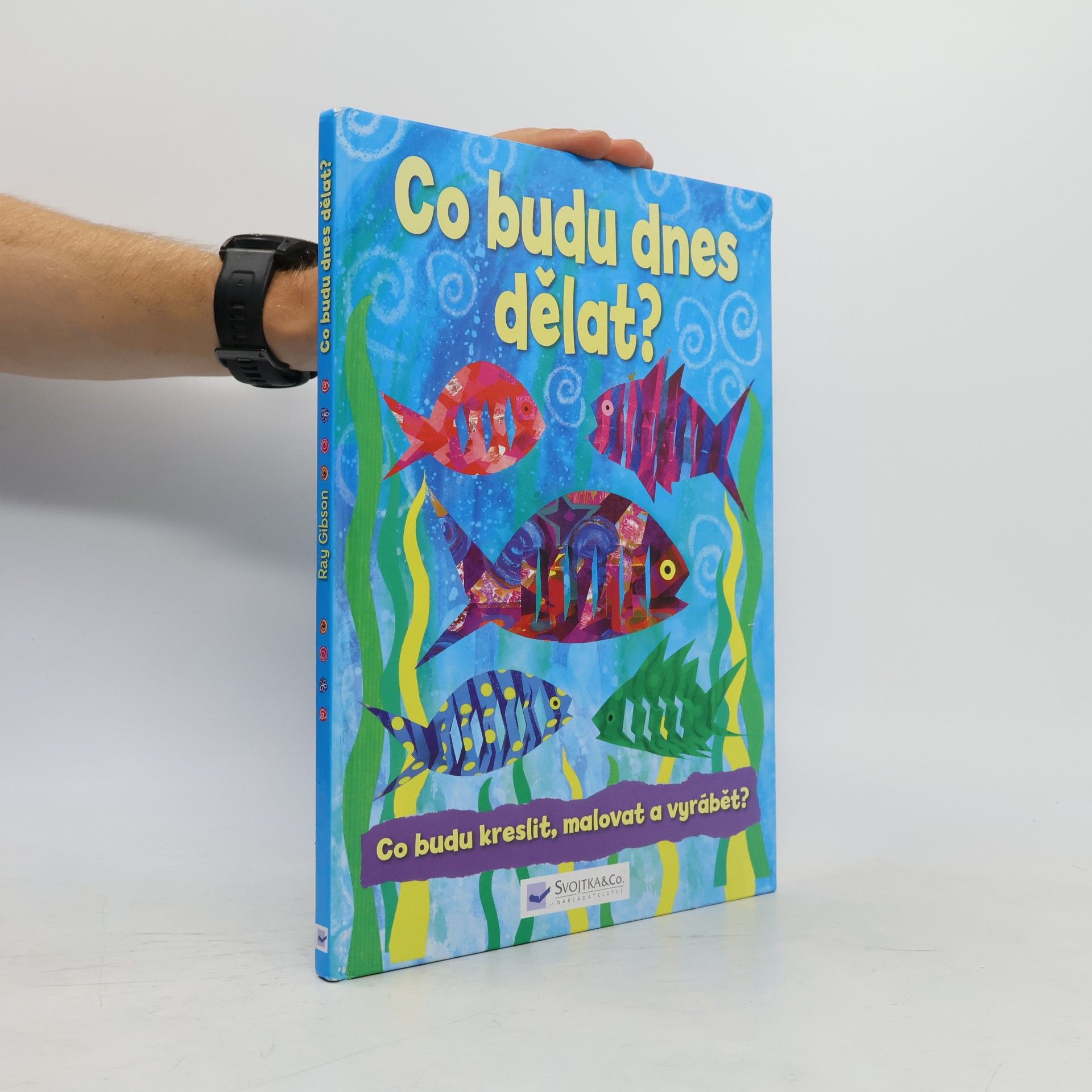 Ray Gibson Co budu dnes dělat?
