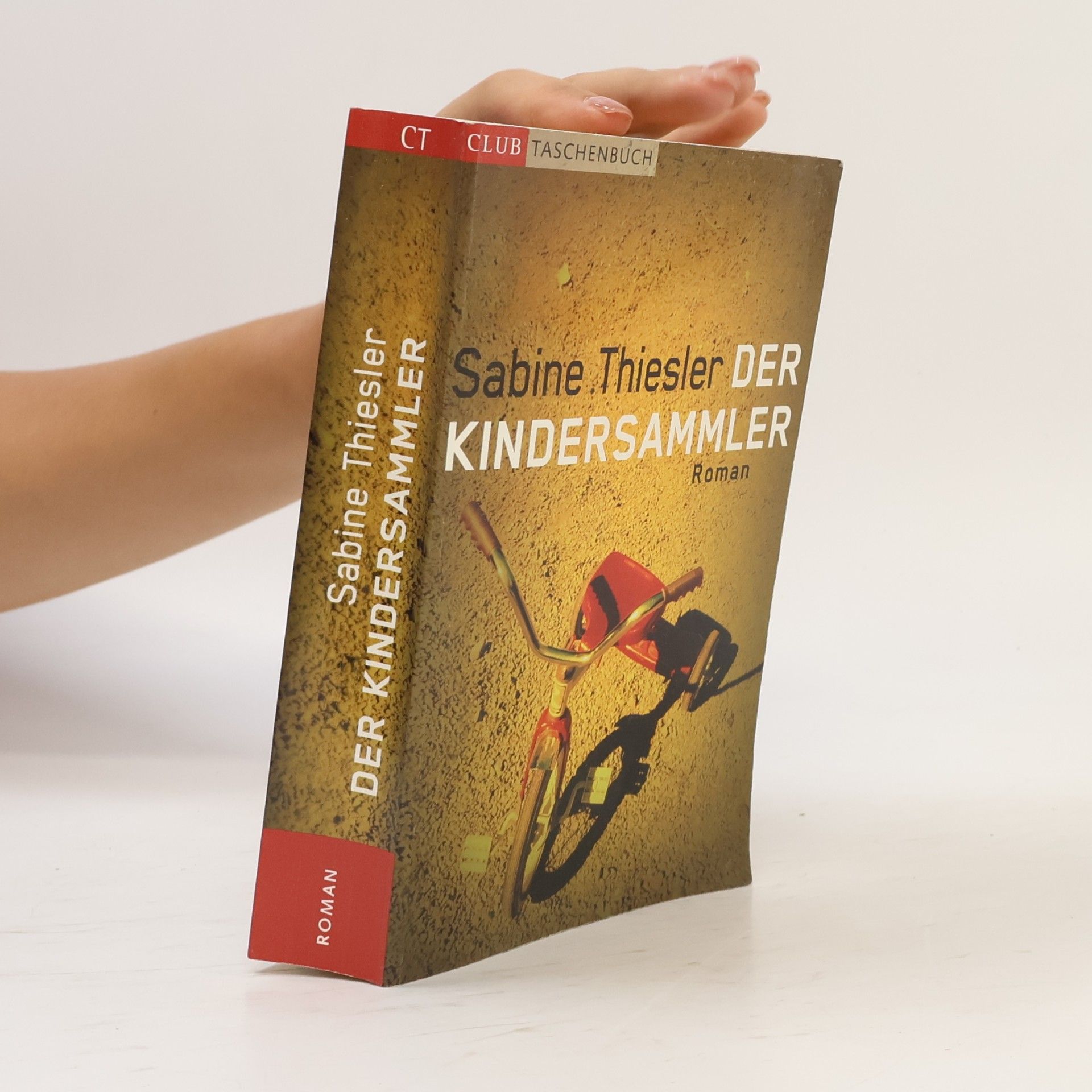 Sabine Thiesler Der Kindersammler