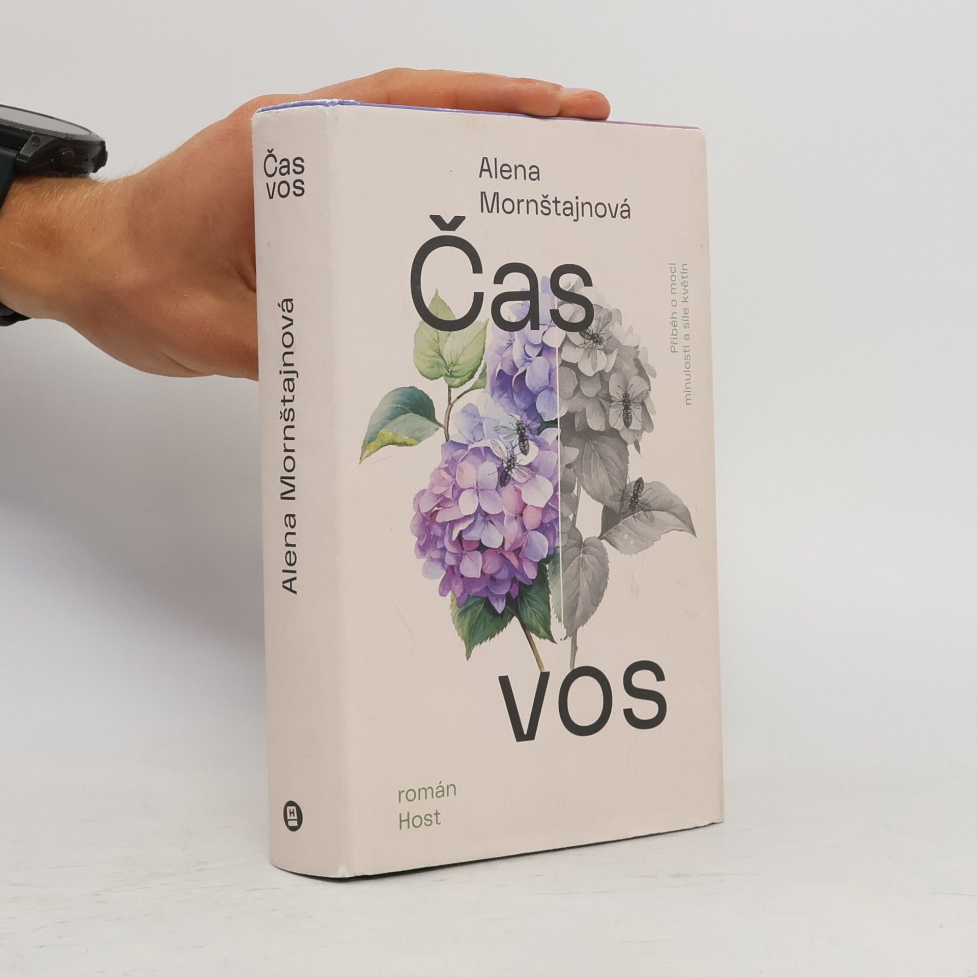 Alena Mornštajnová Čas vos