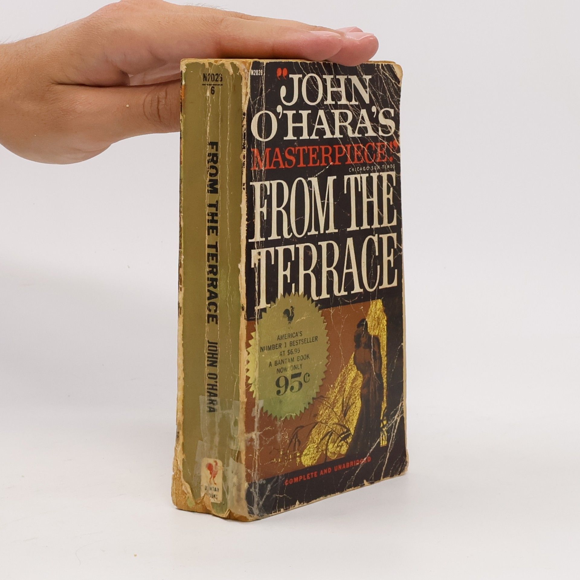 John O’Hara From the Terrace