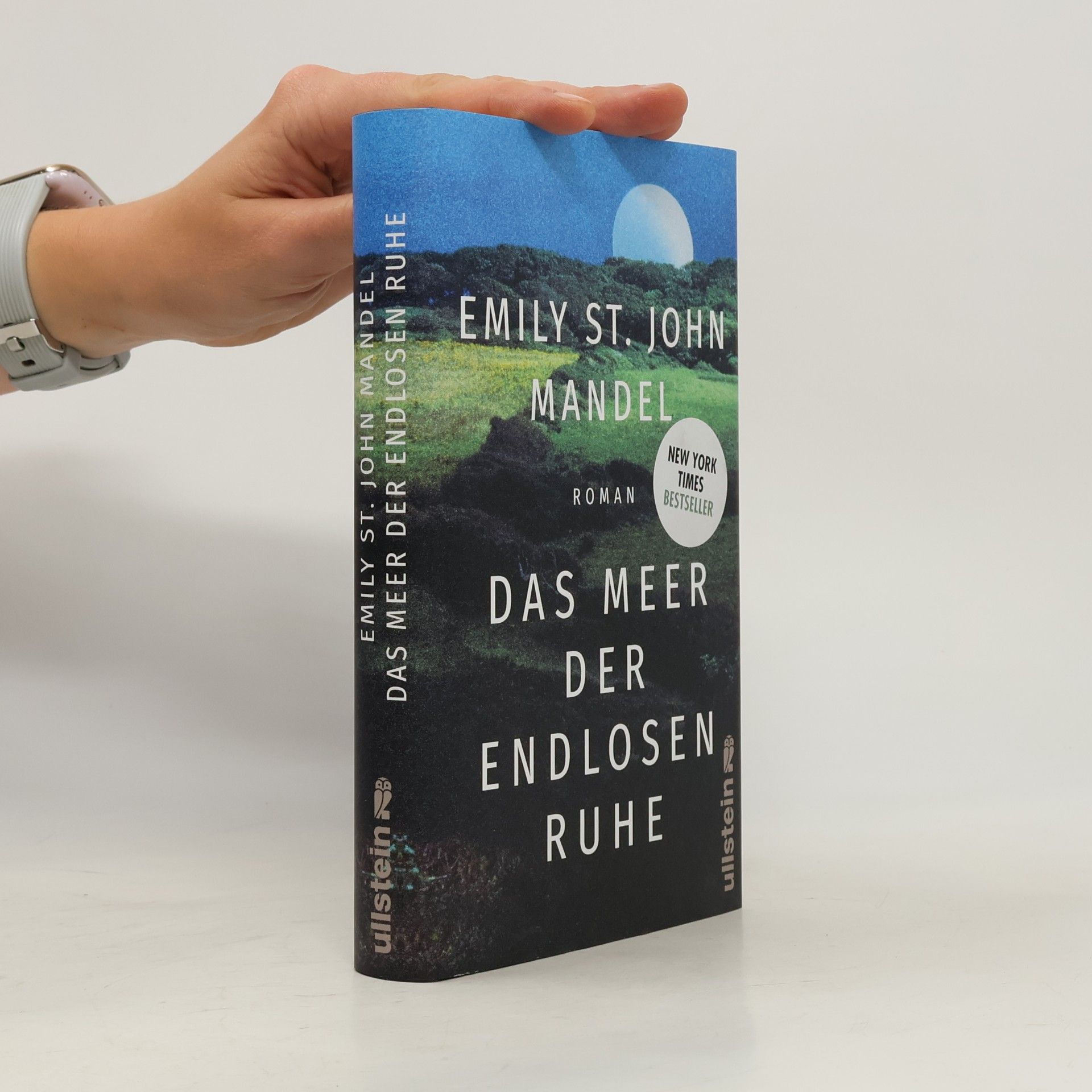 Emily St. John Mandel Das Meer der endlosen Ruhe