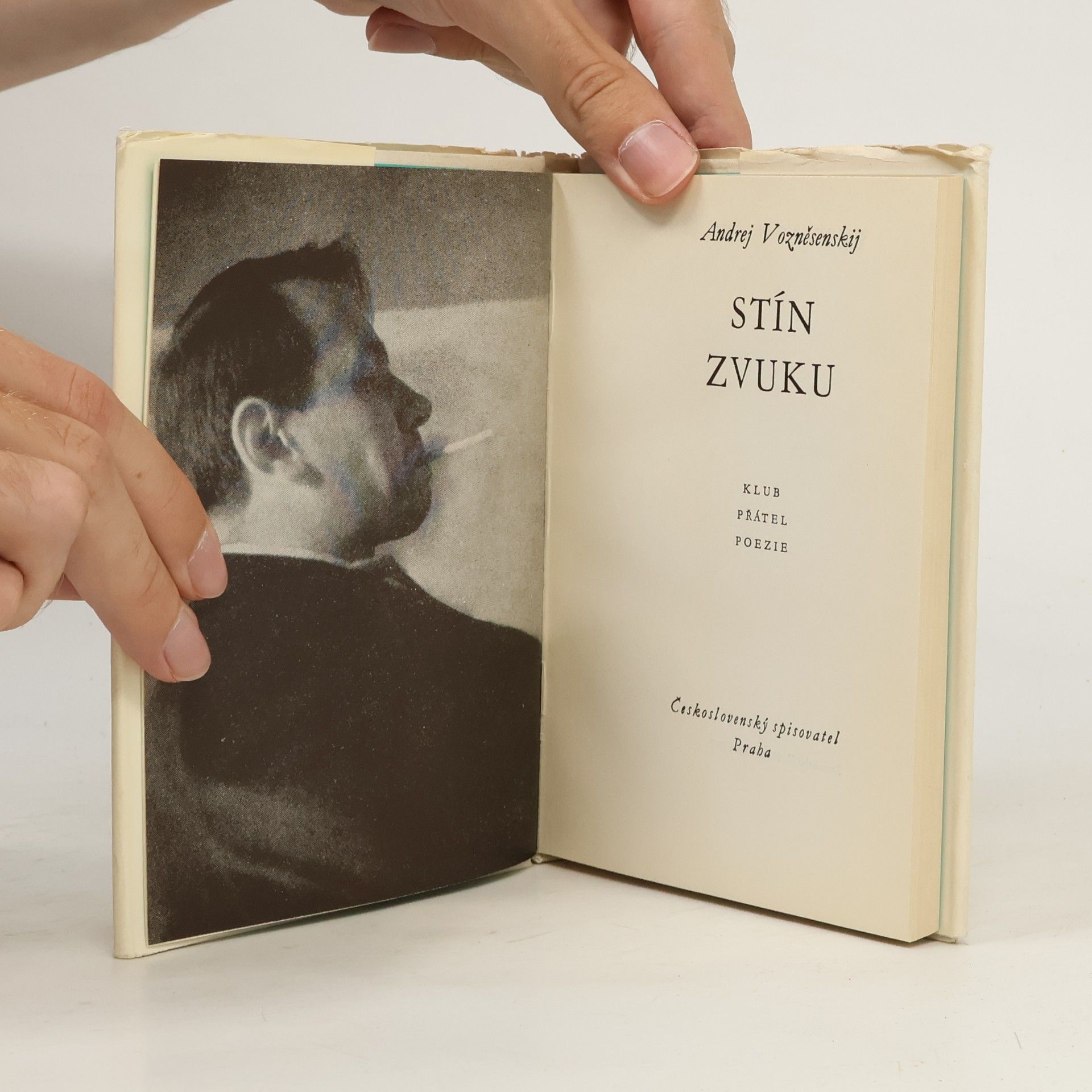 Andrej Andrejevič Voznesenskij Stín zvuku