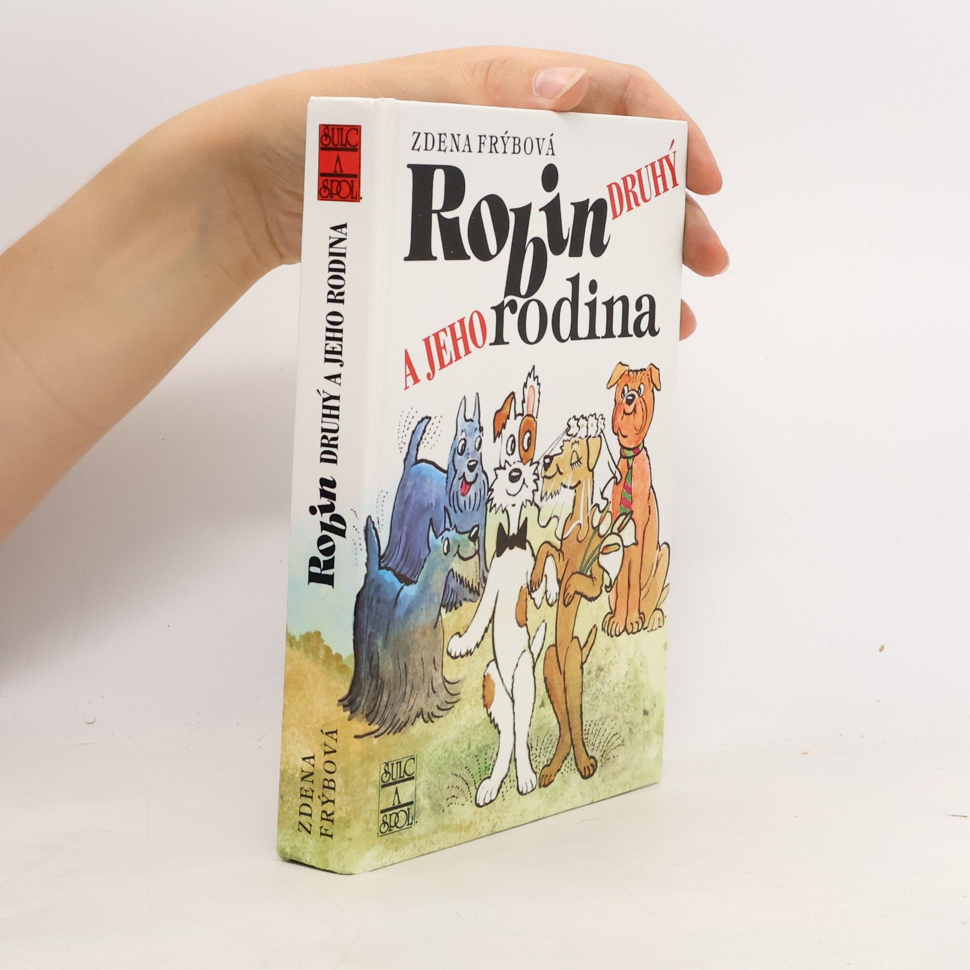 Zdena Frýbová Robin Druhý a jeho rodina