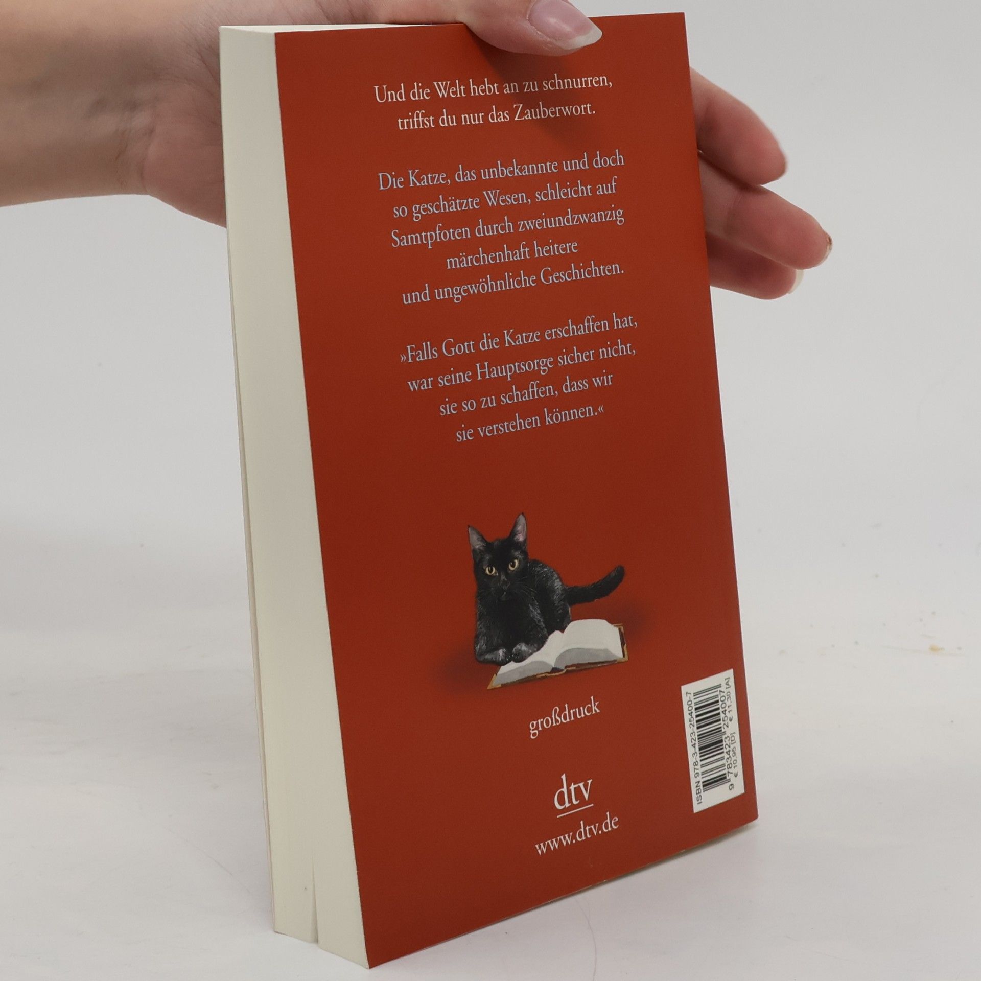 Eva Berberich Die Bücherkatze