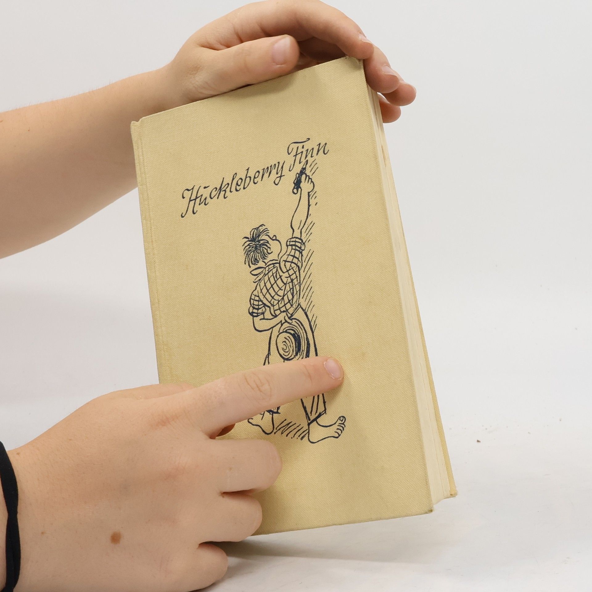 Mark Twain Die Abenteuer des Hückleberry Finn
