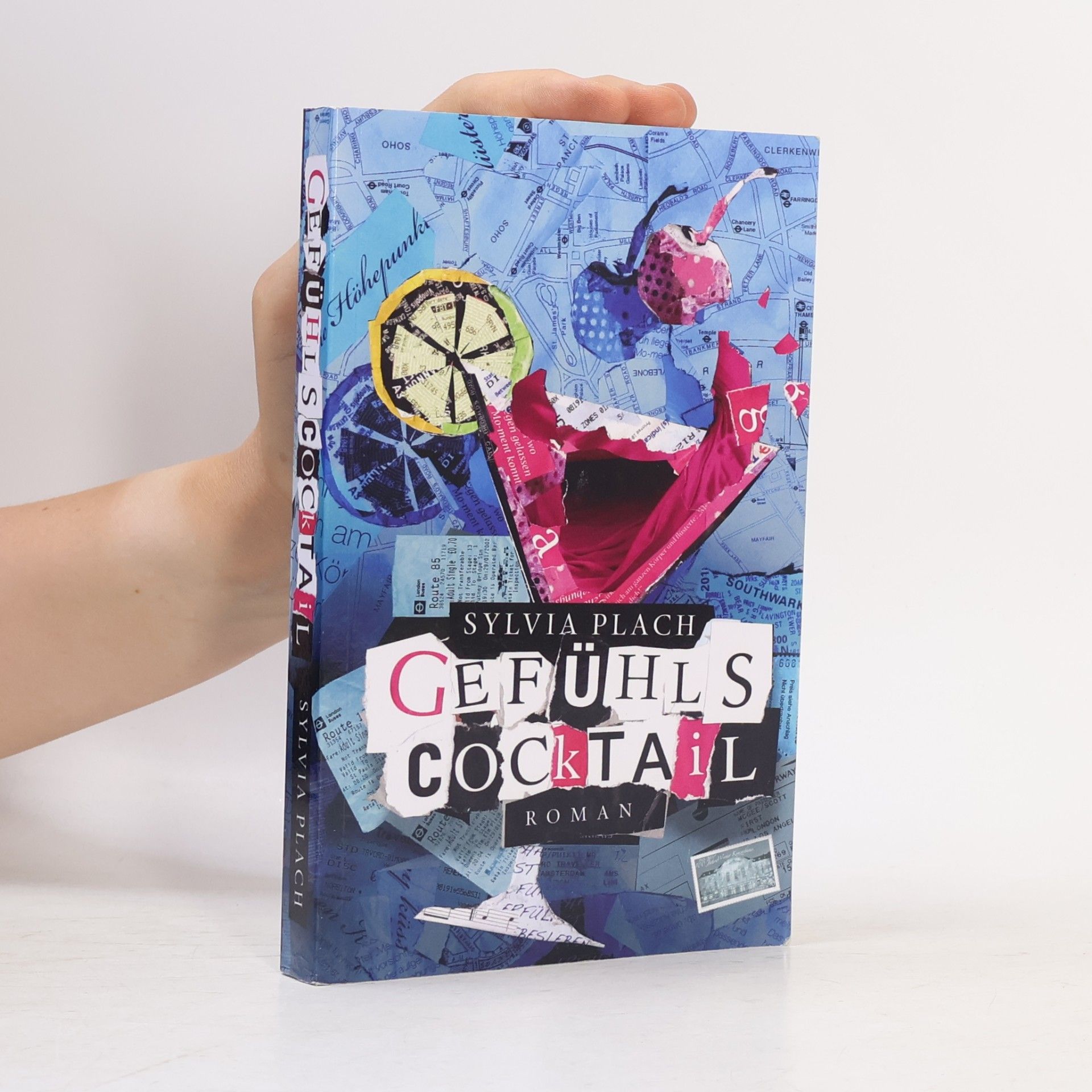 Sylvia Plach Gefühlscocktail