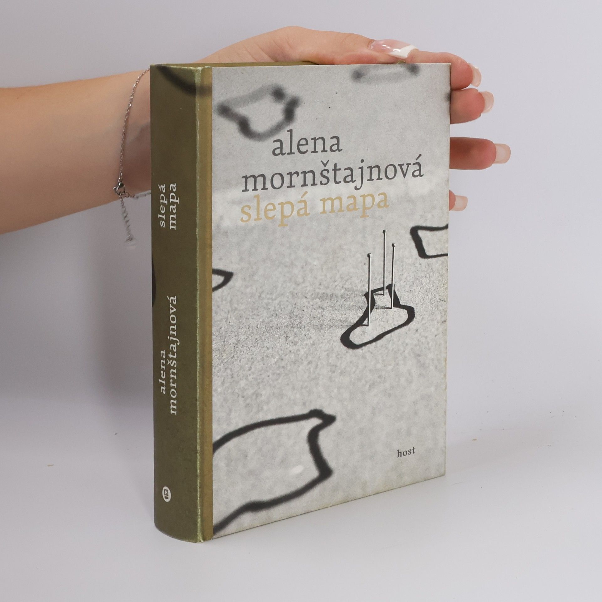 Alena Mornštajnová Slepá mapa