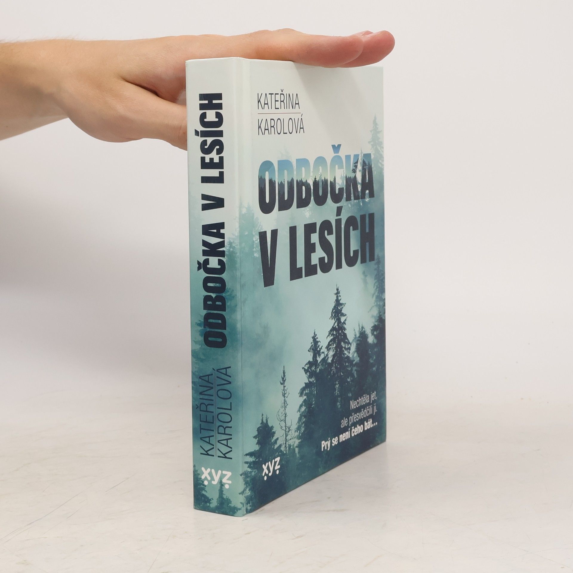 Kateřina Karolová Odbočka v lesích