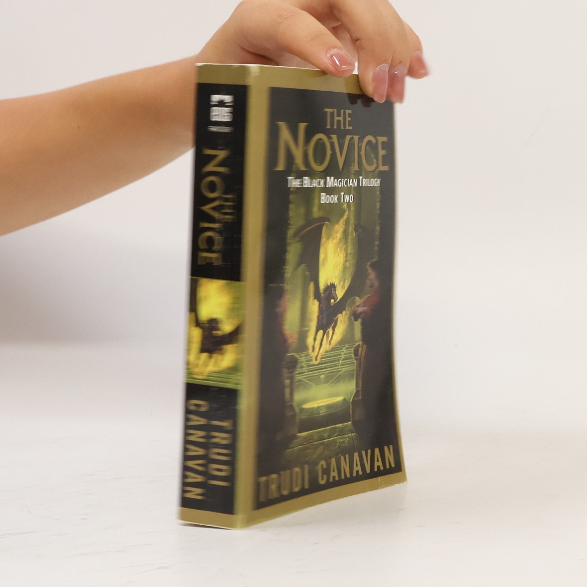 Trudi Canavan The Novice