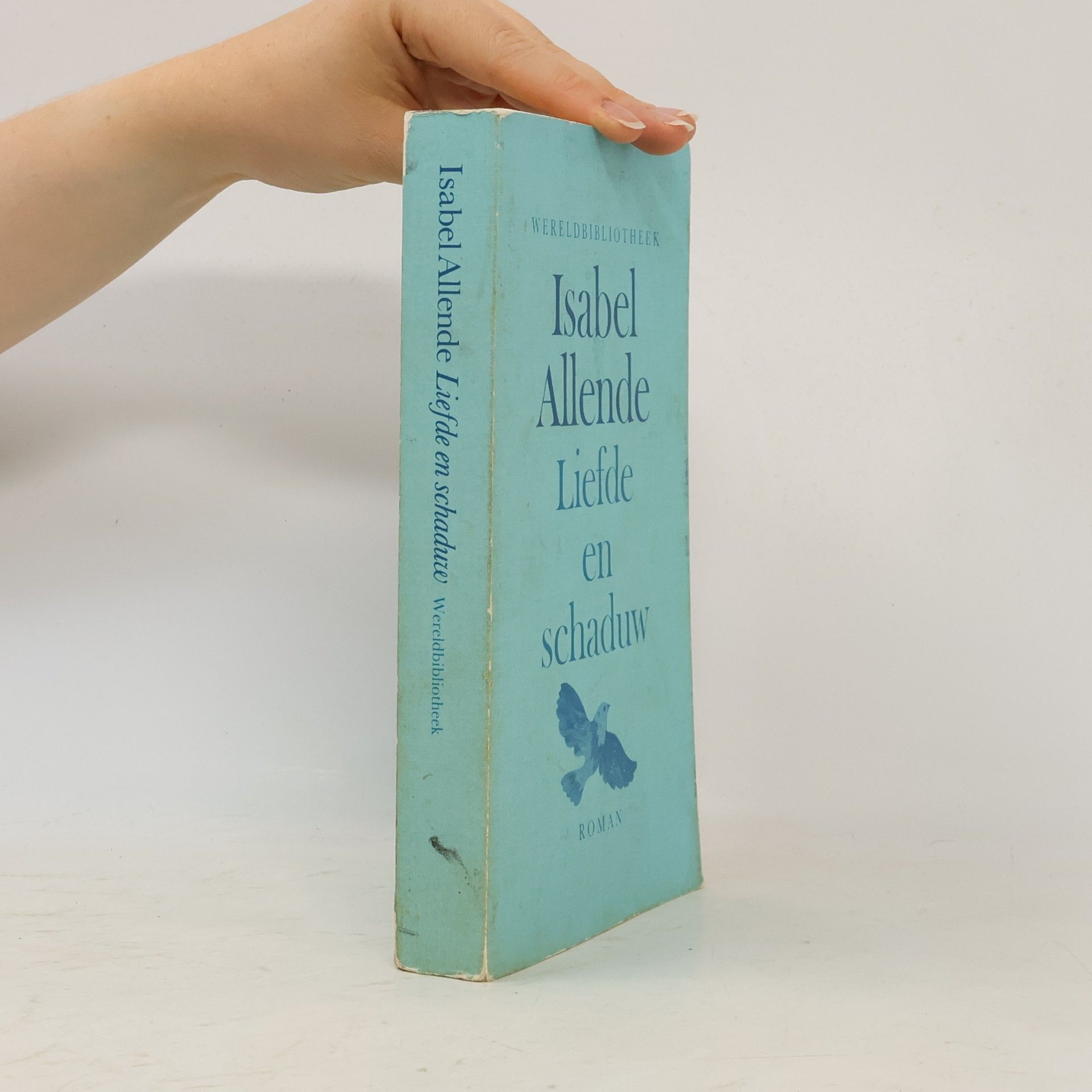 Isabel Allende Liefde en schaduw