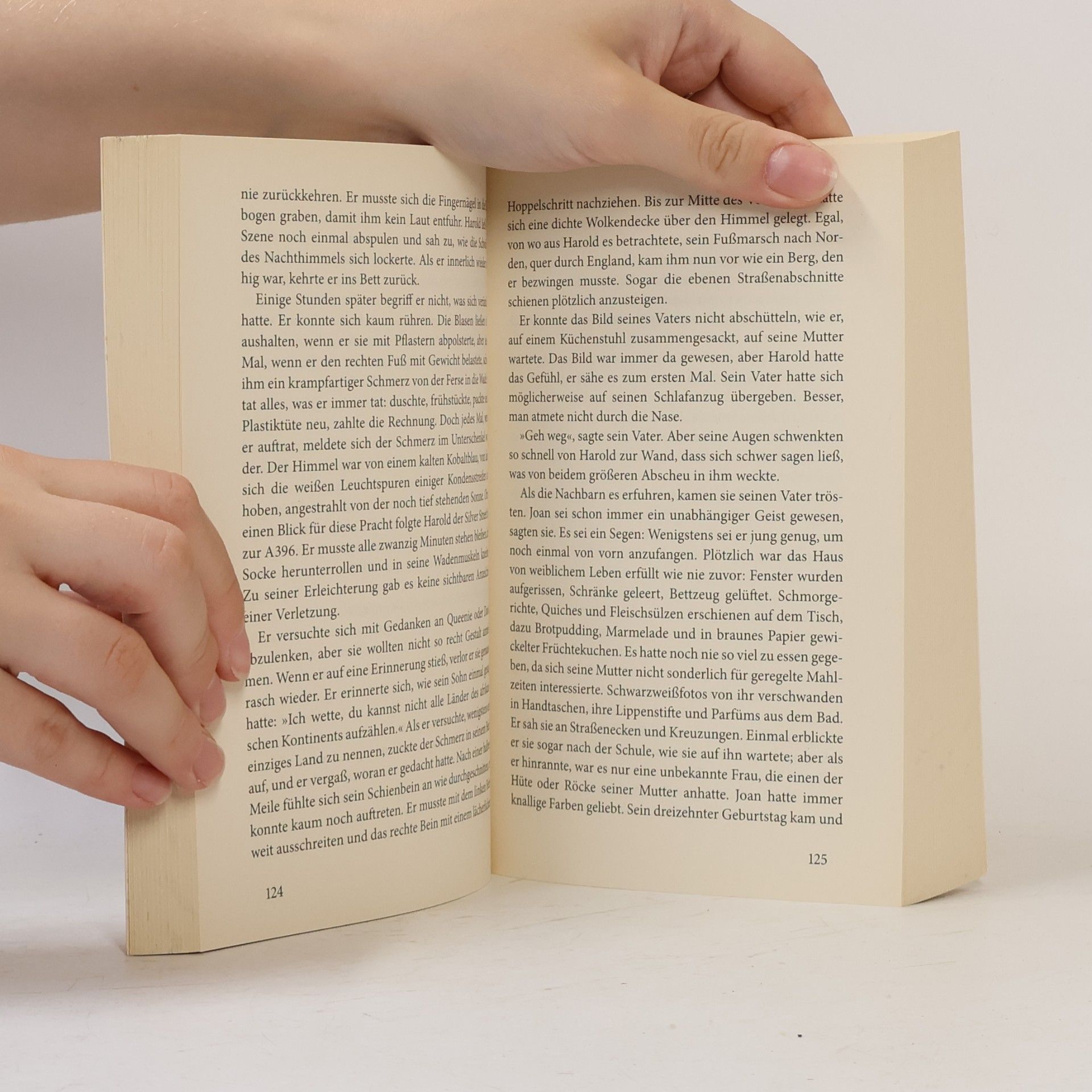 Rachel Joyce Die unwahrscheinliche Pilgerreise des Harold Fry
