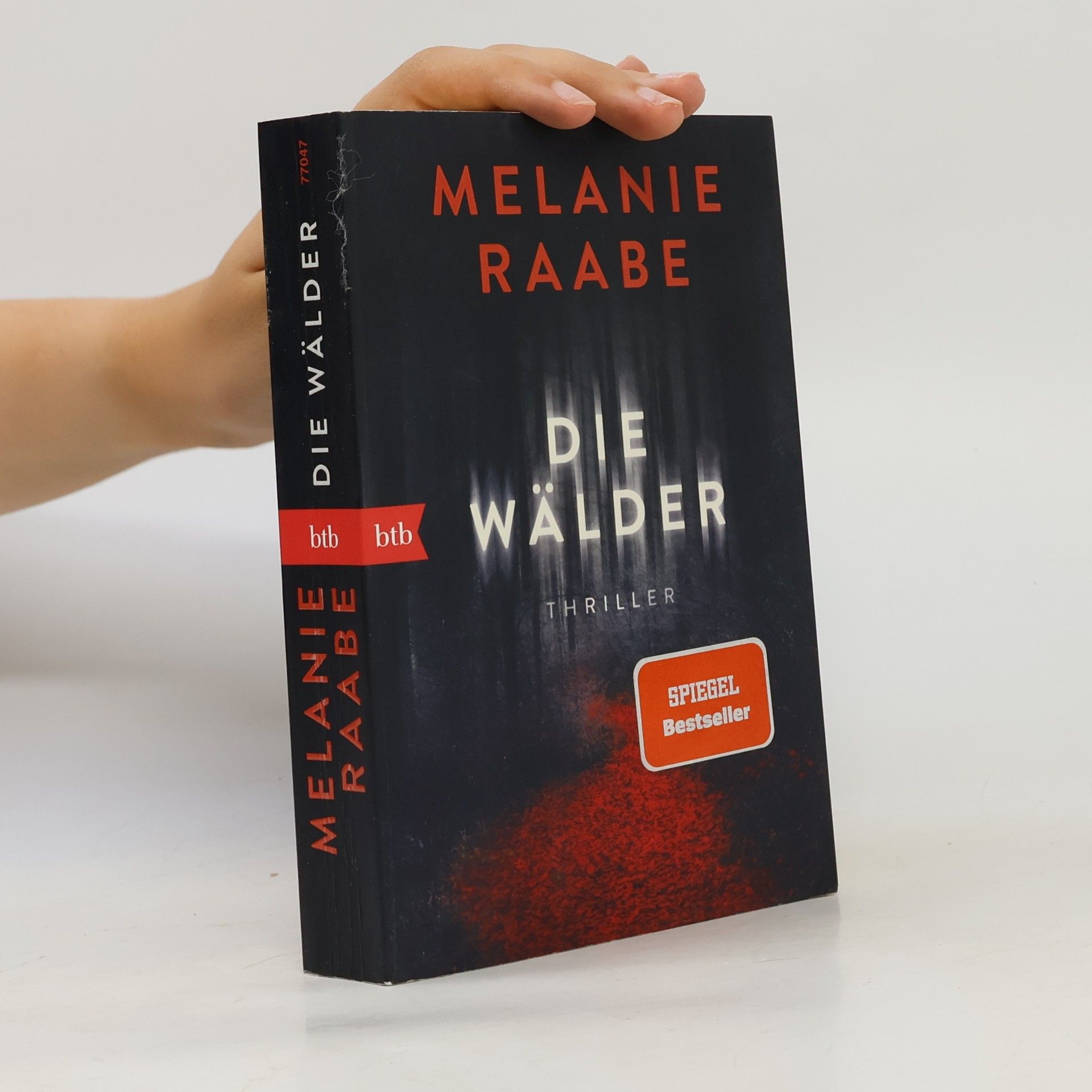 Melanie Raabe Die wälder
