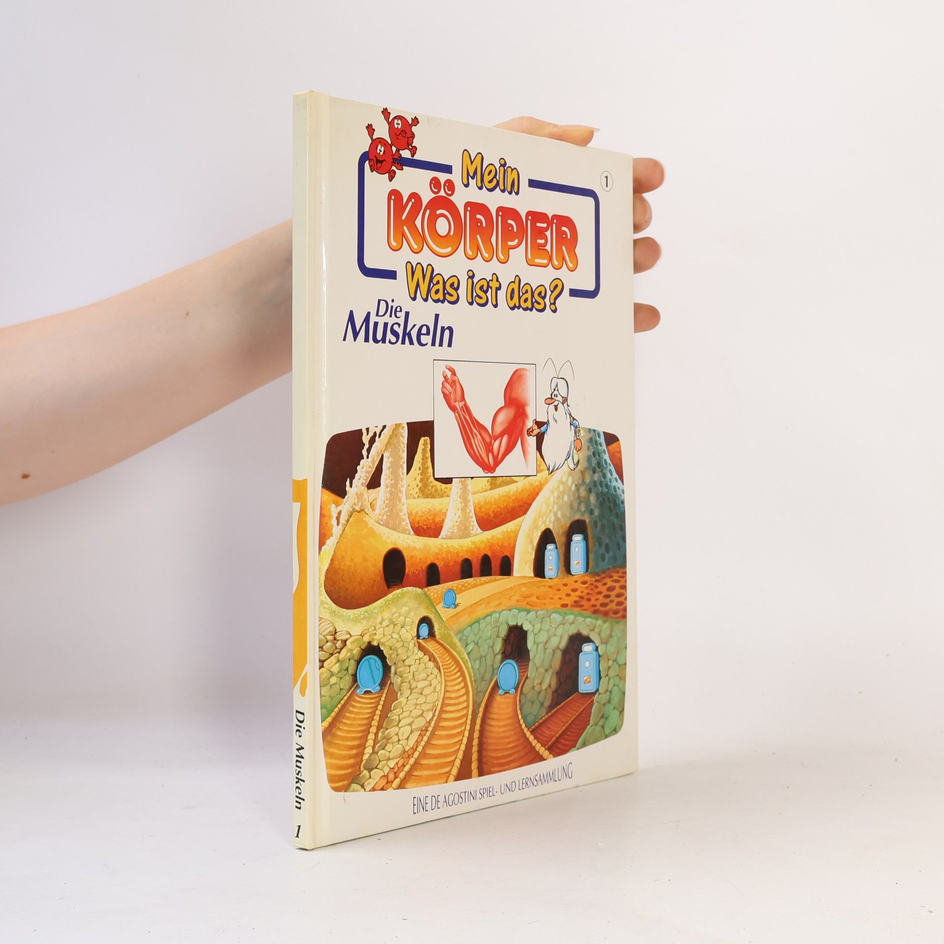 Autorenkollektiv Mein Körper. Was ist das? Die Muskeln 1