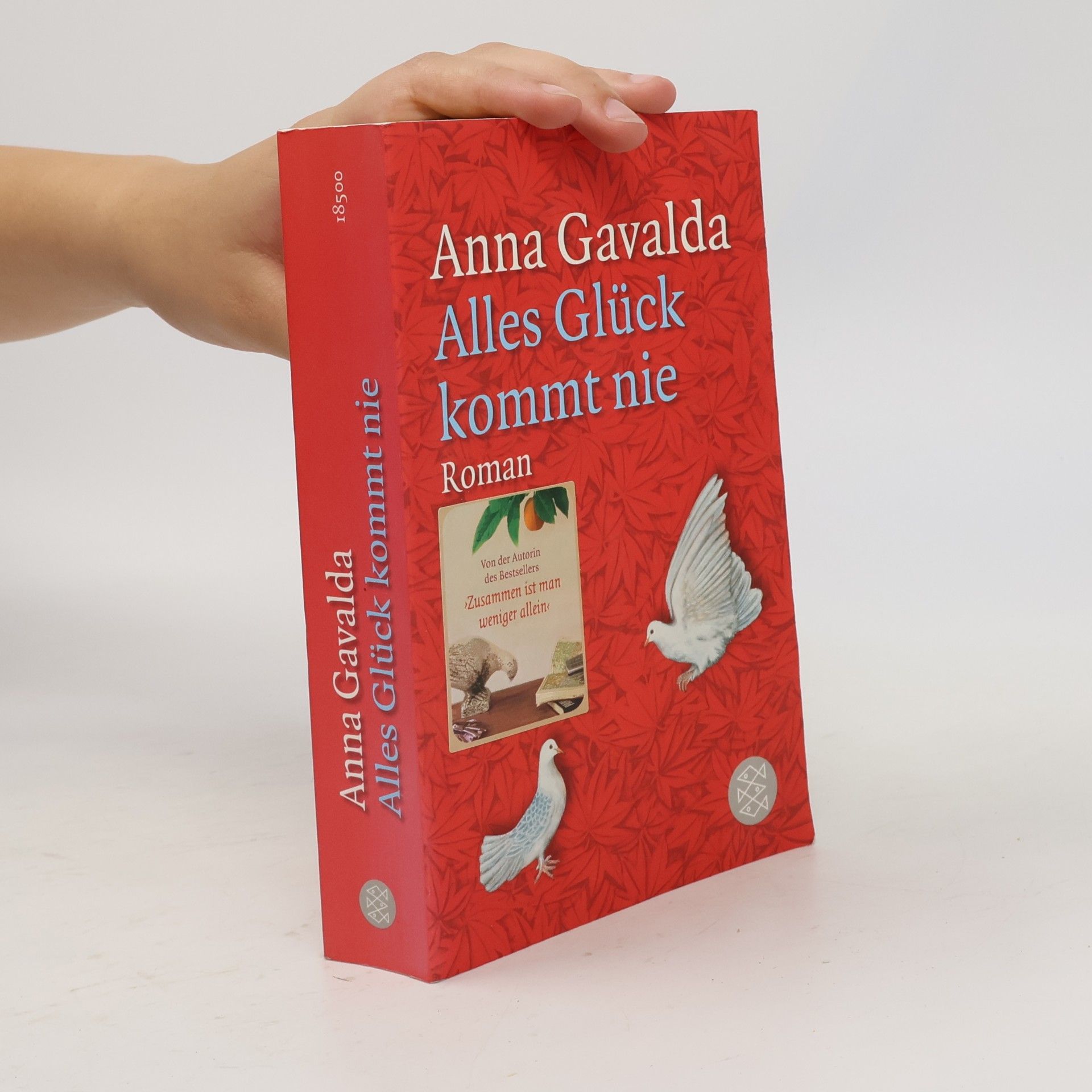 Anna Gavalda Alles Glück kommt nie