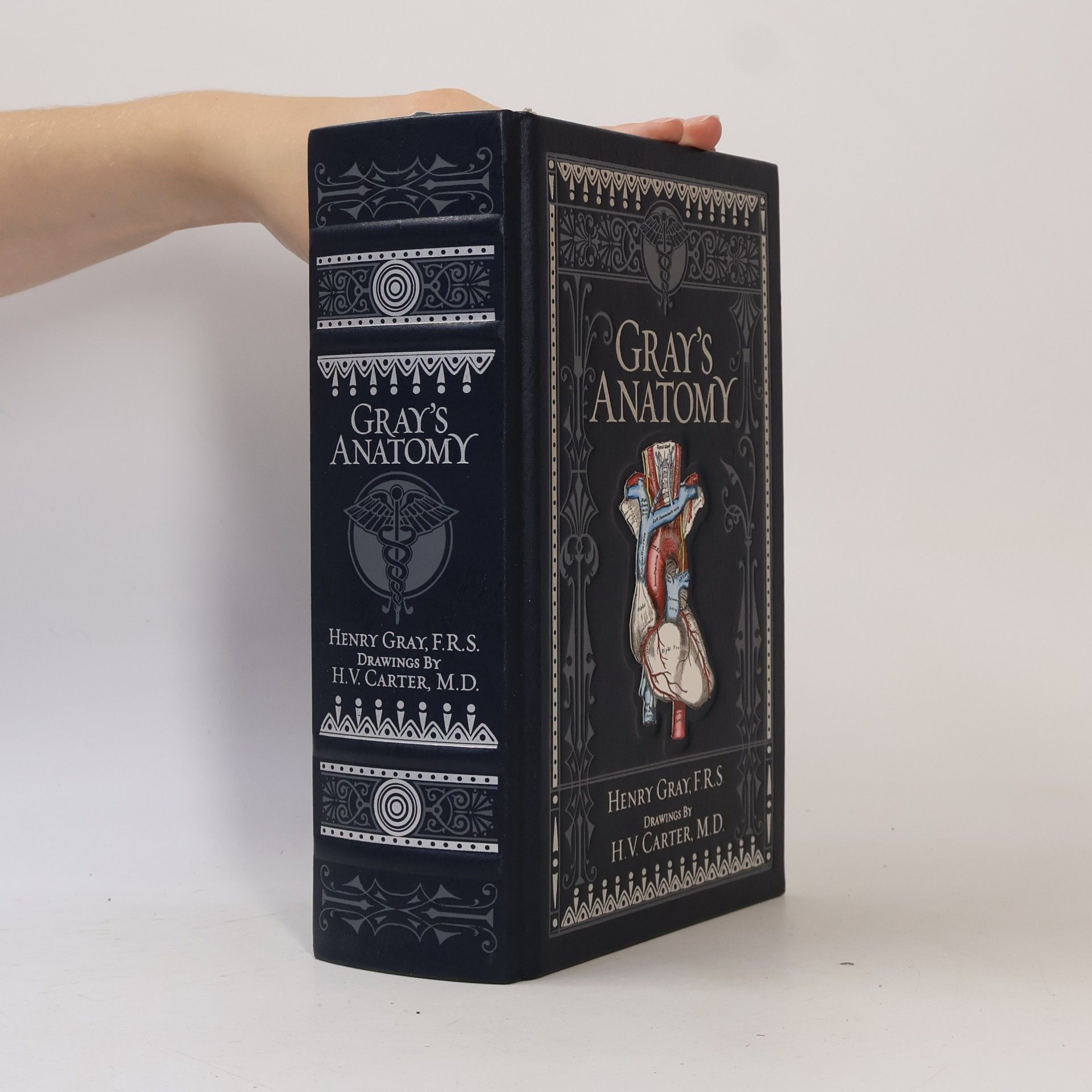 Henry Gray Gray´s Anatomy