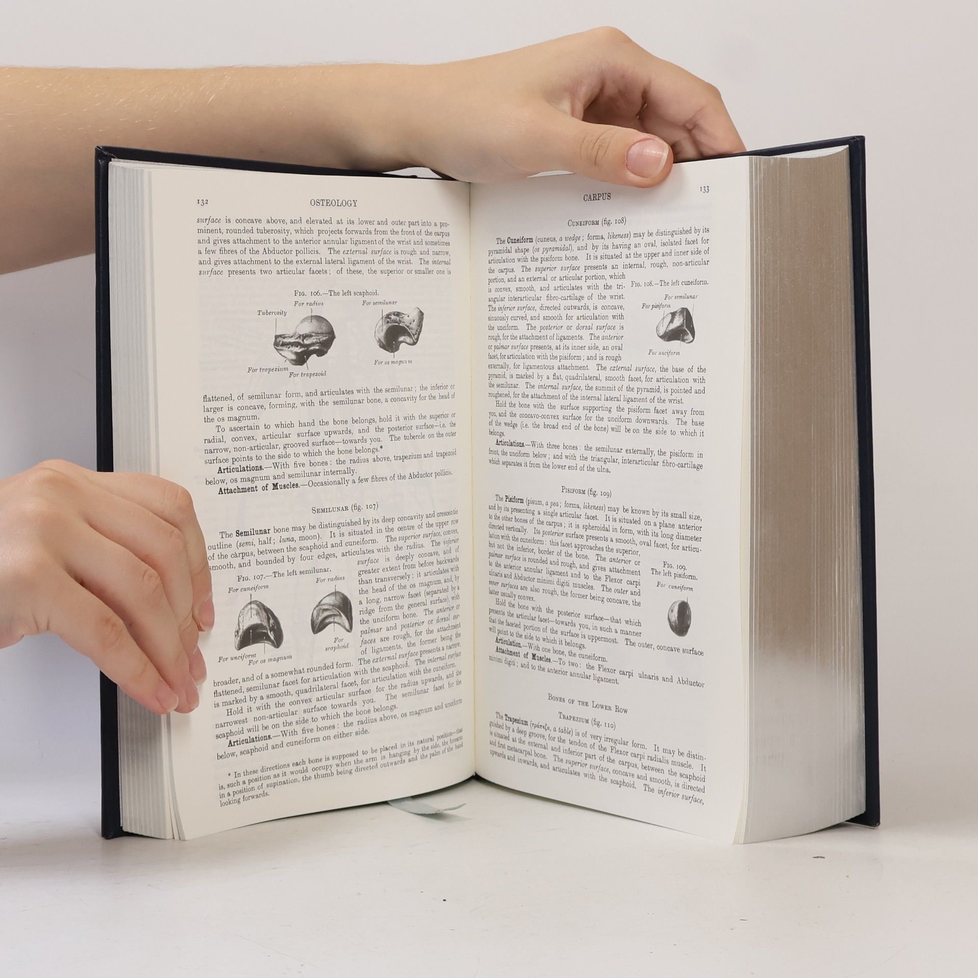 Henry Gray Gray´s Anatomy