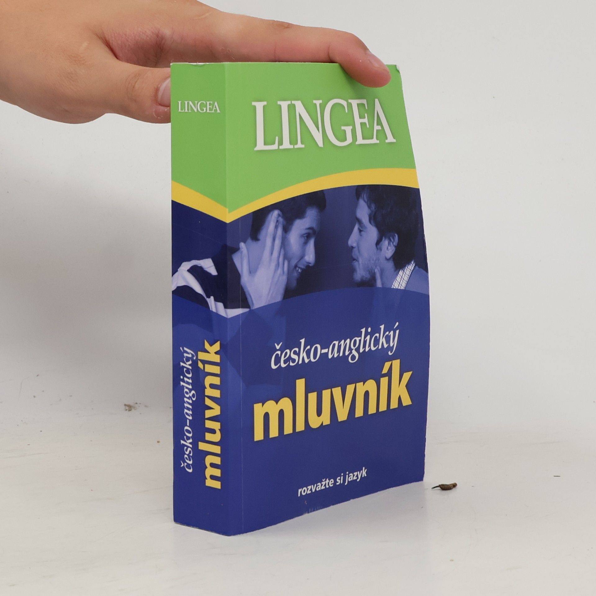 Autorenkollektiv Česko-anglický mluvník