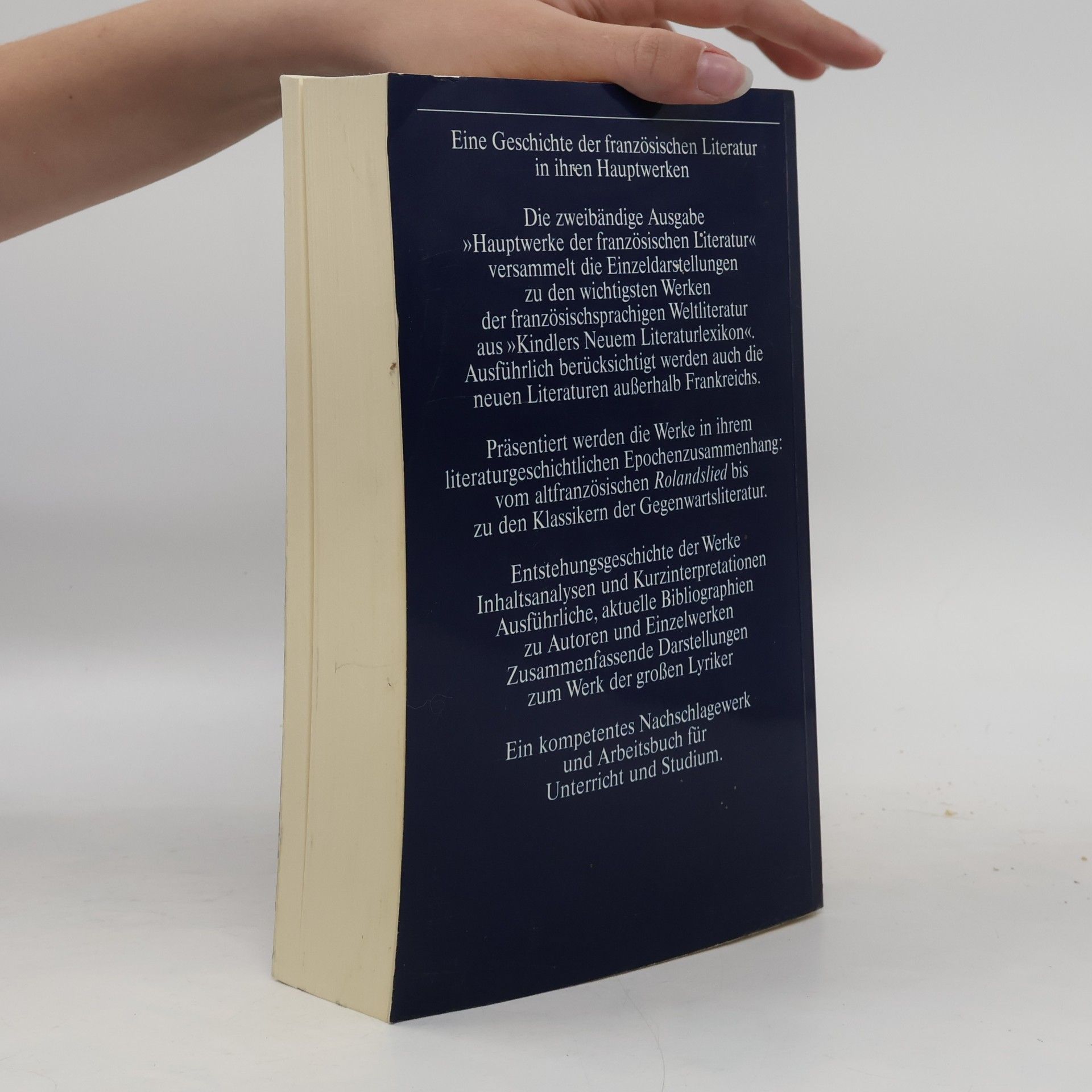 Autorenkollektiv Hauptwerke der französischen Literatur 2