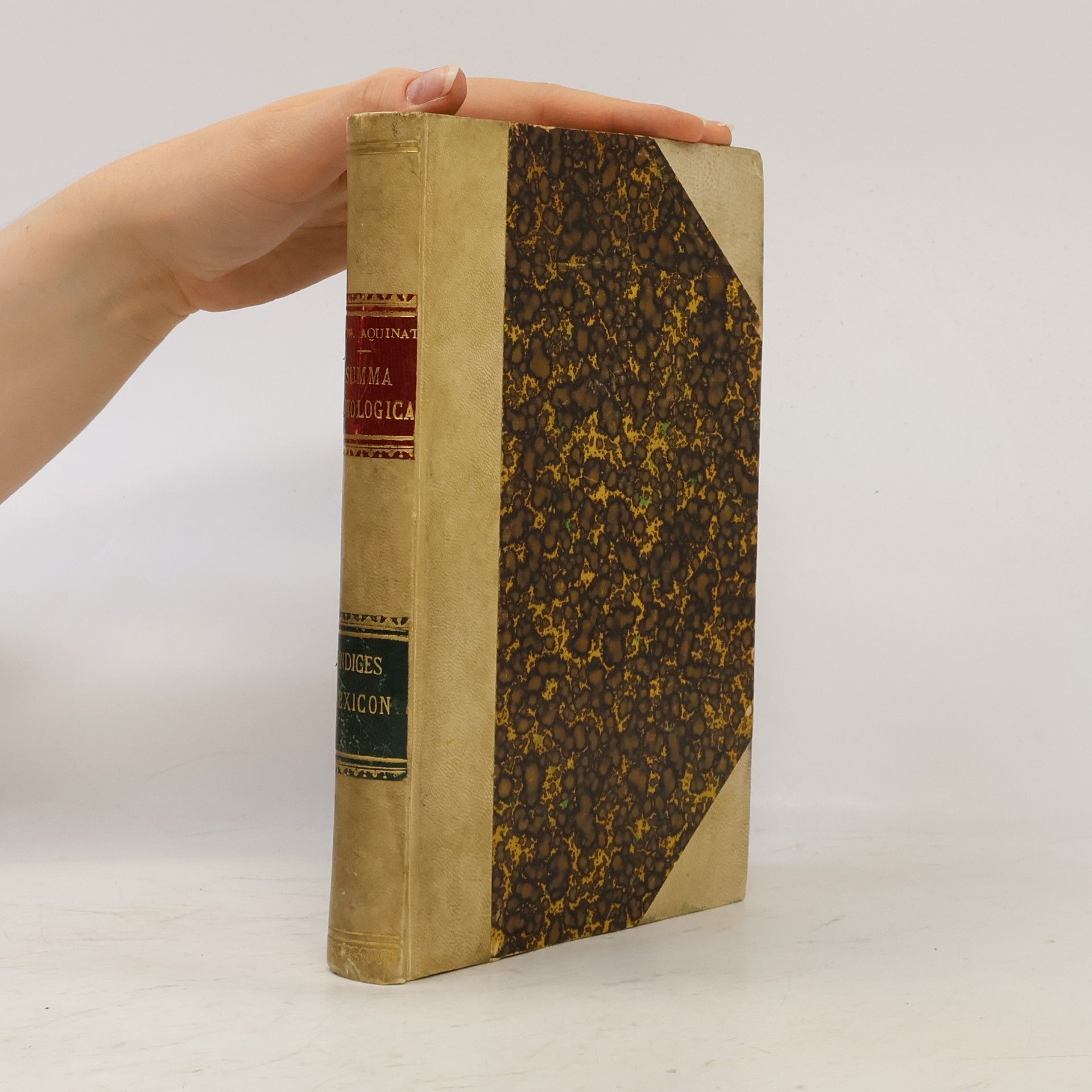 Summa Theologica. Indices - Lexicon