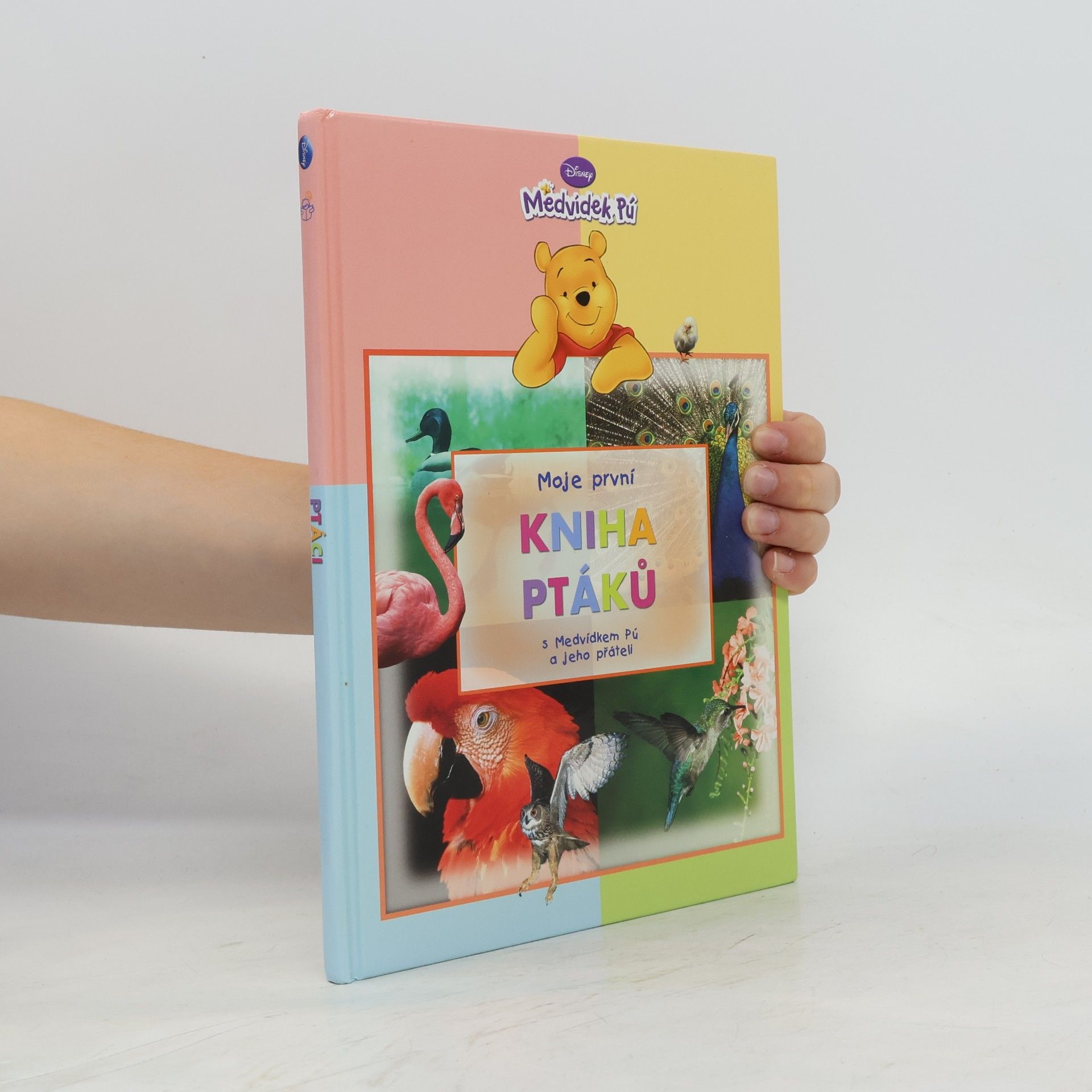 Walt Disney Moje první kniha ptáků s Medvídkem Pú a jeho přáteli