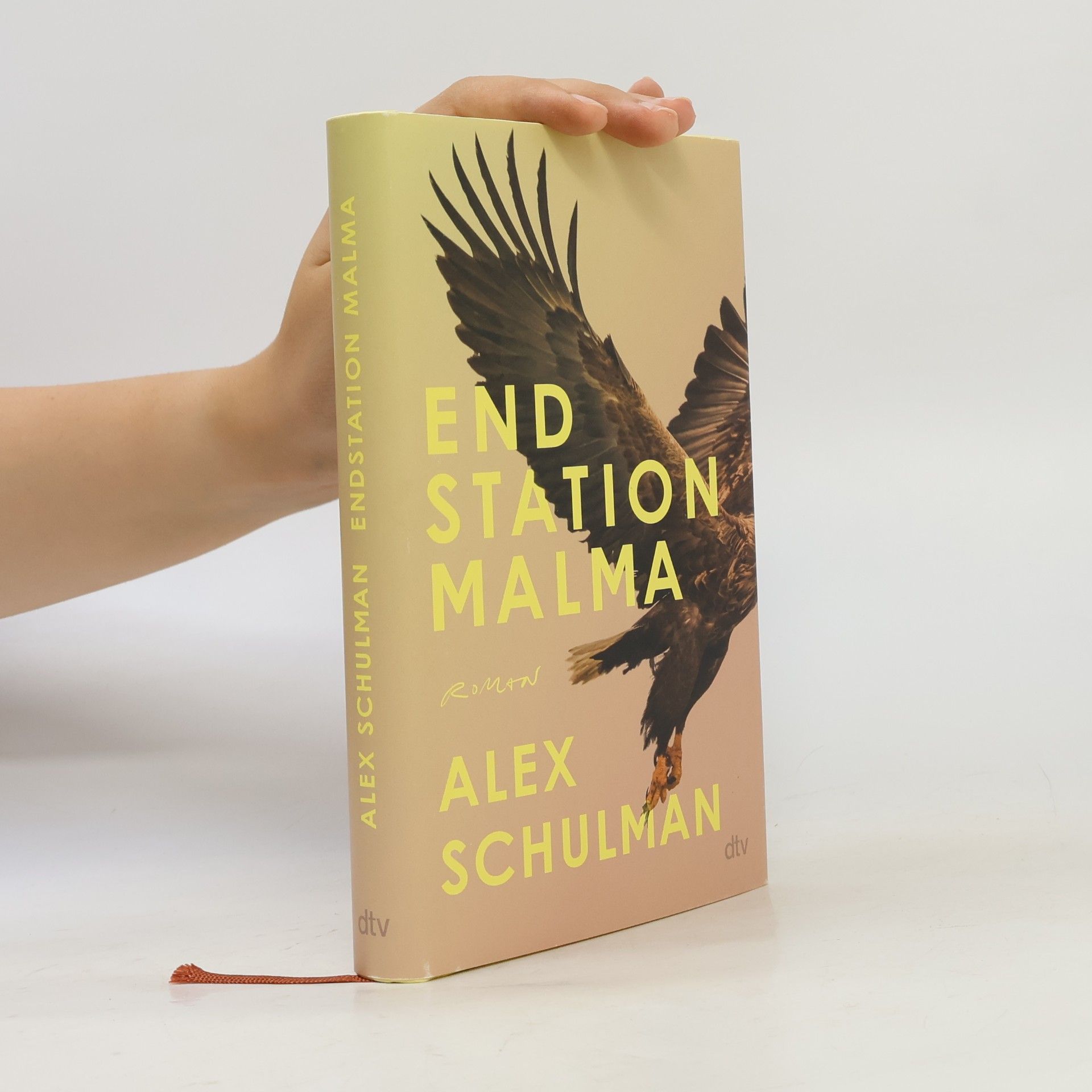 Alex Schulman Endstation Malma