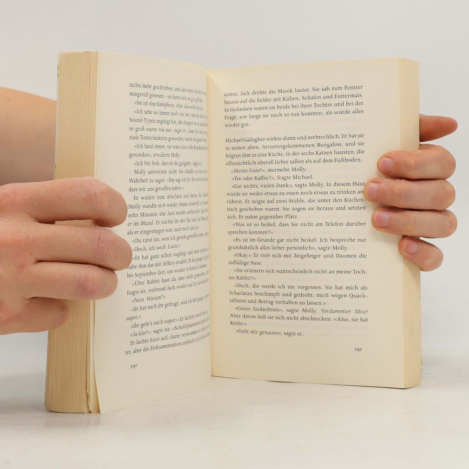 Anna McPartlin Die letzten Tage von Rabbit Hayes