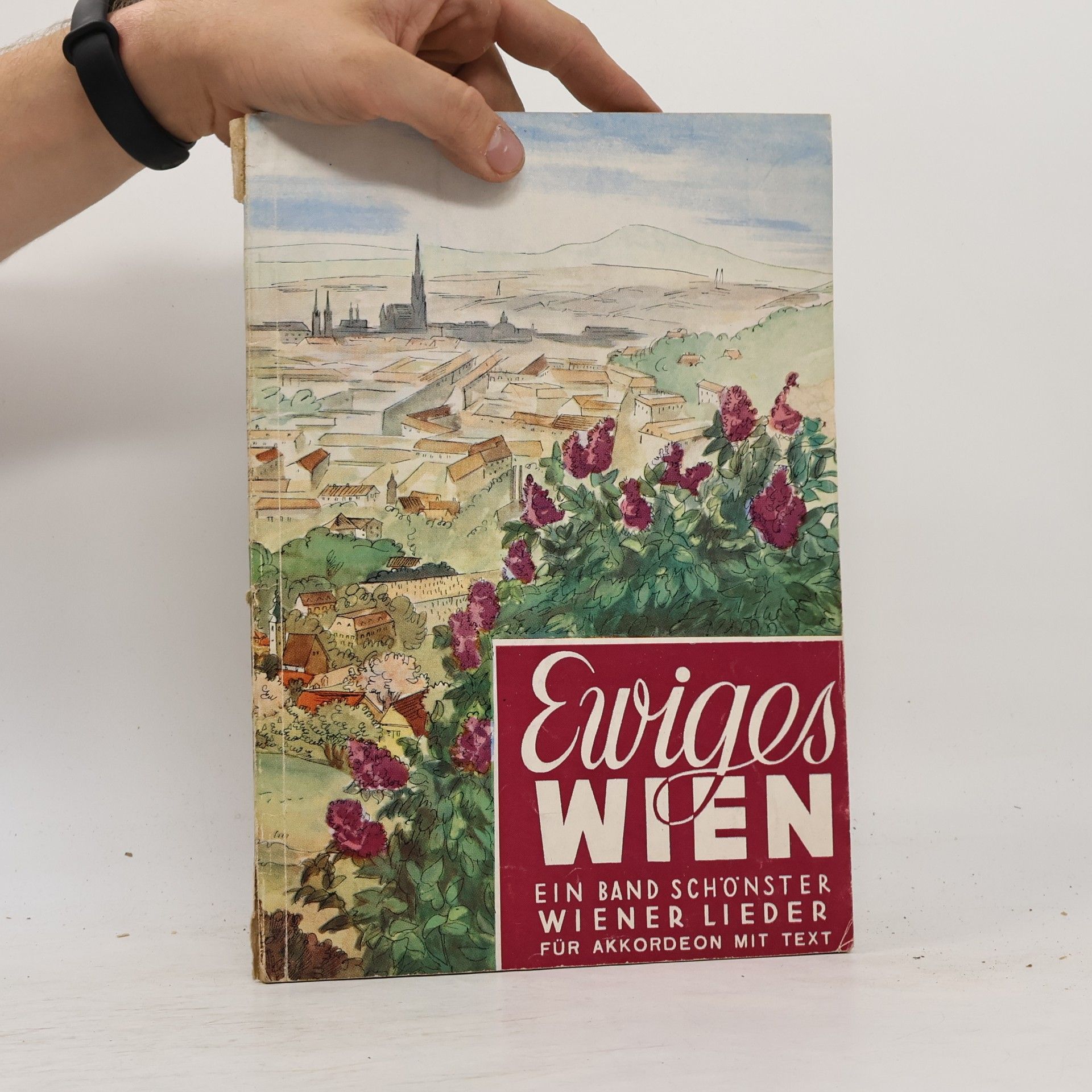 Ewiges Wien