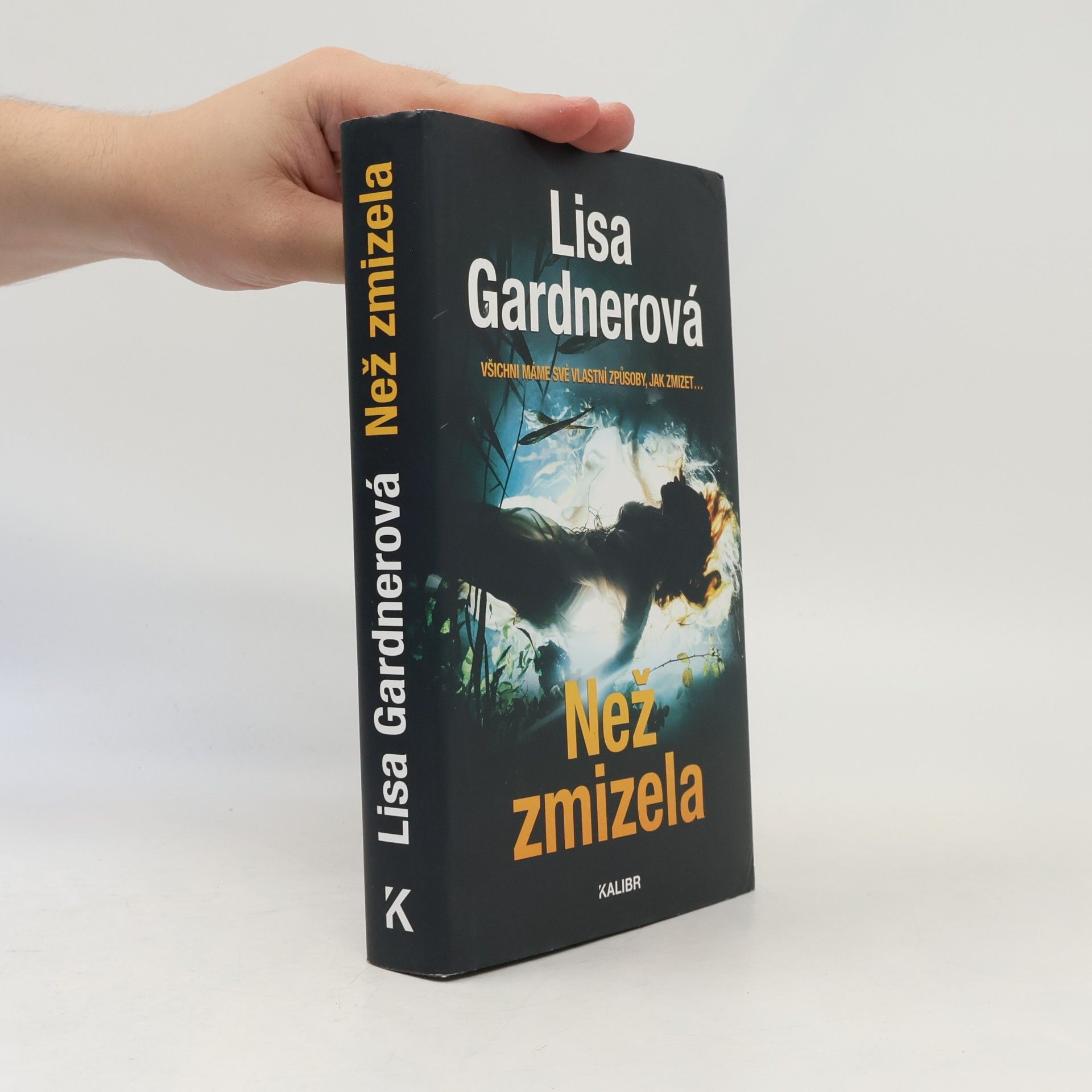 Lisa Gardner Než zmizela