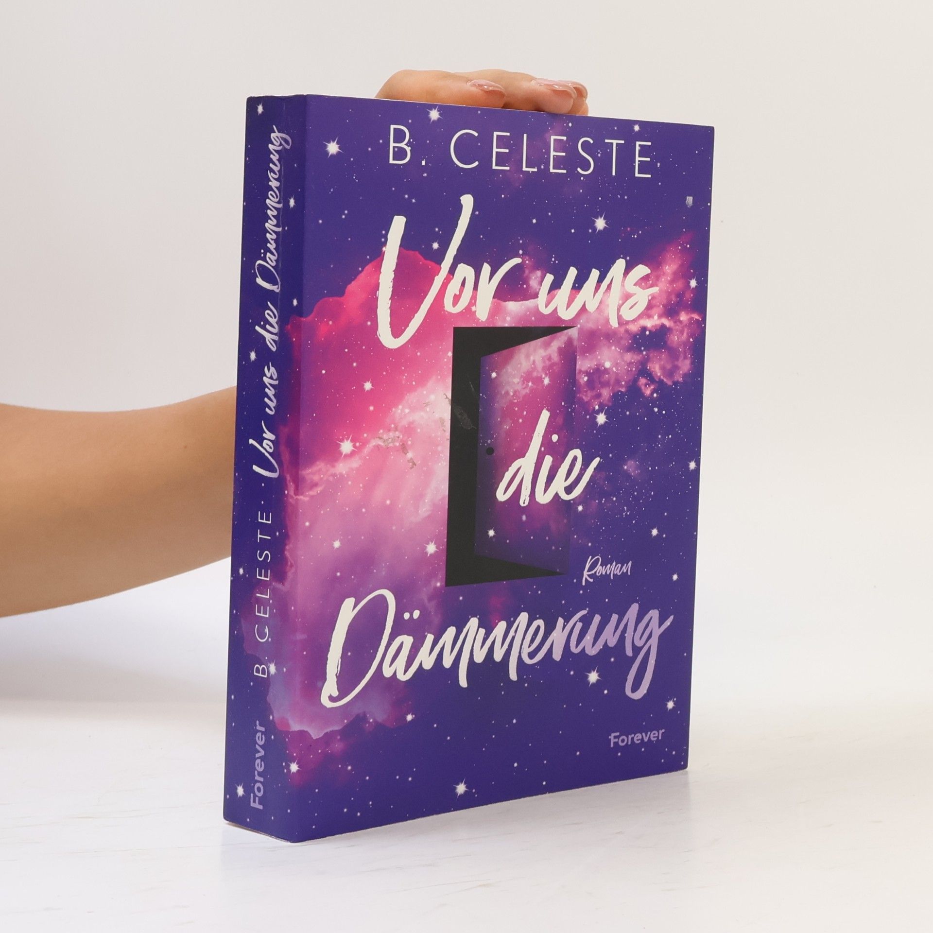Celeste Ng Vor uns die Dämmerung